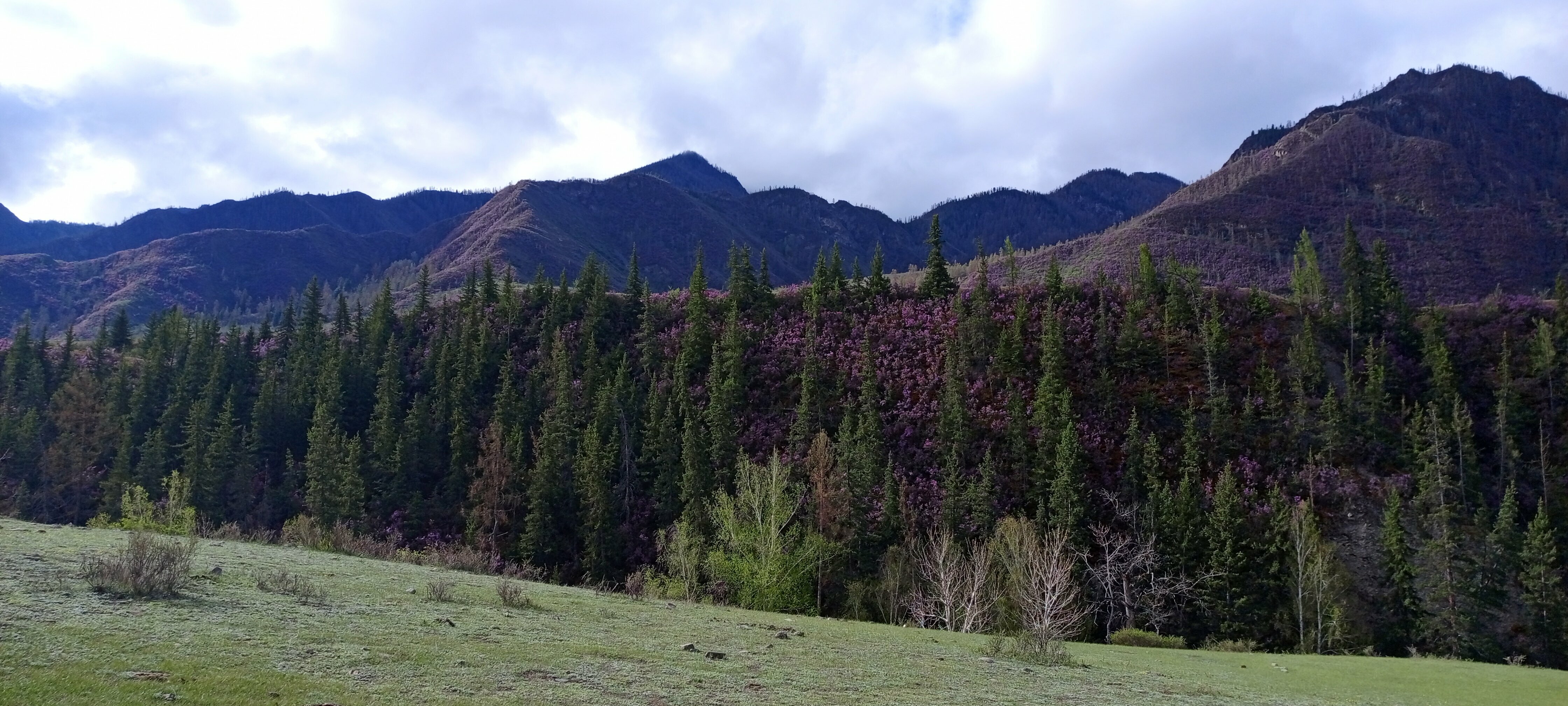 Двухместный номер Делюкс с 2 отдельными кроватями