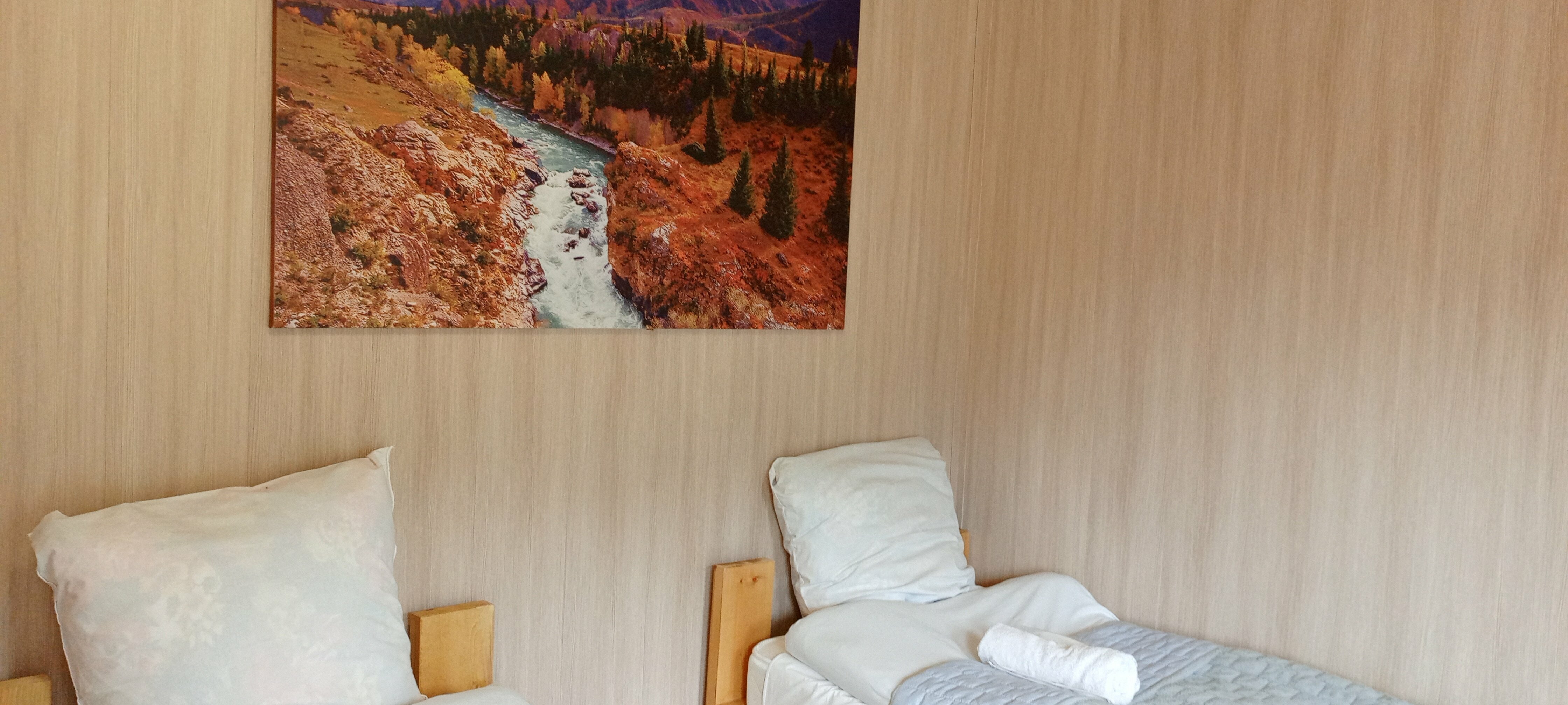 Двухместный номер Делюкс с 2 отдельными кроватями