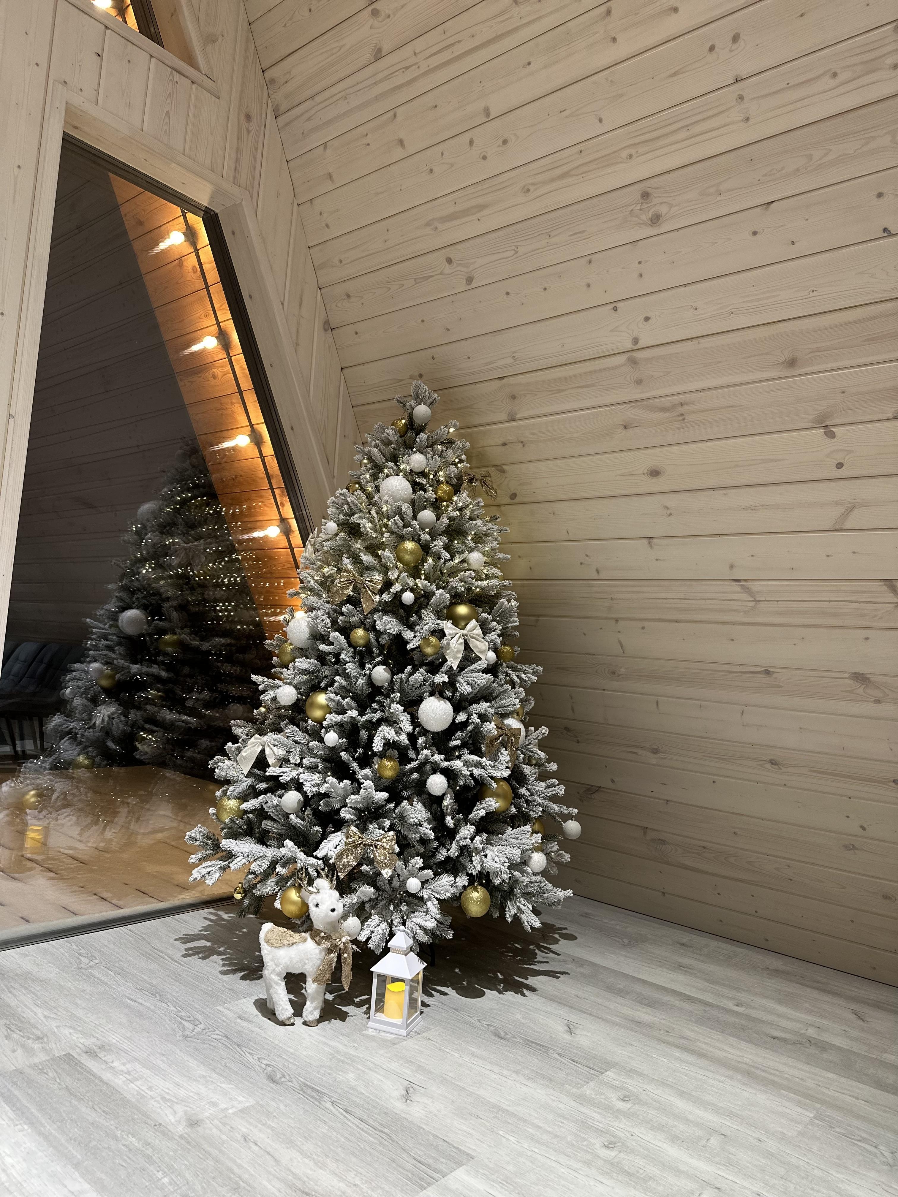 Дом с видом на лес