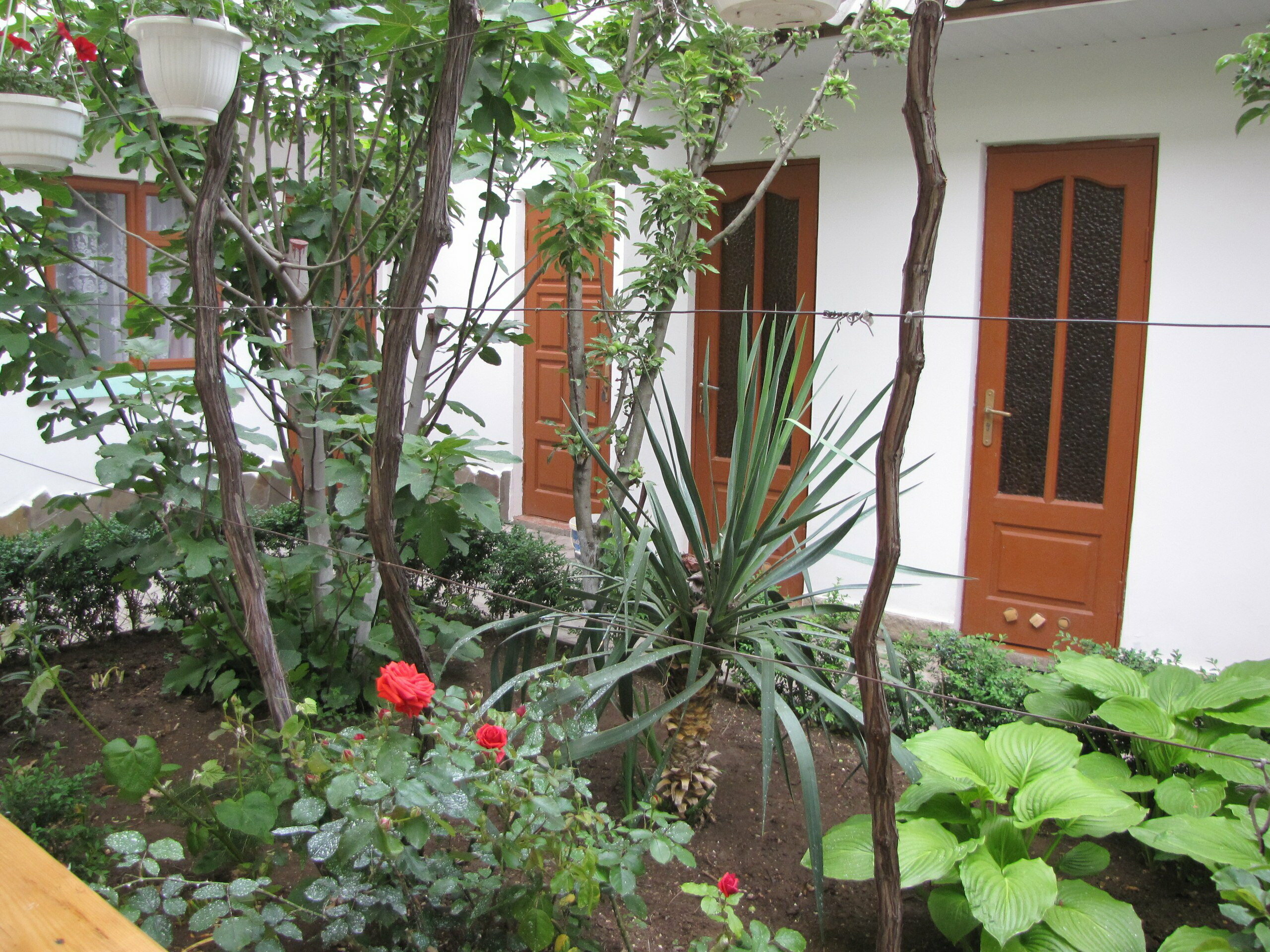 Двухместный номер с 2 отдельными кроватями и общей ванной комнатой