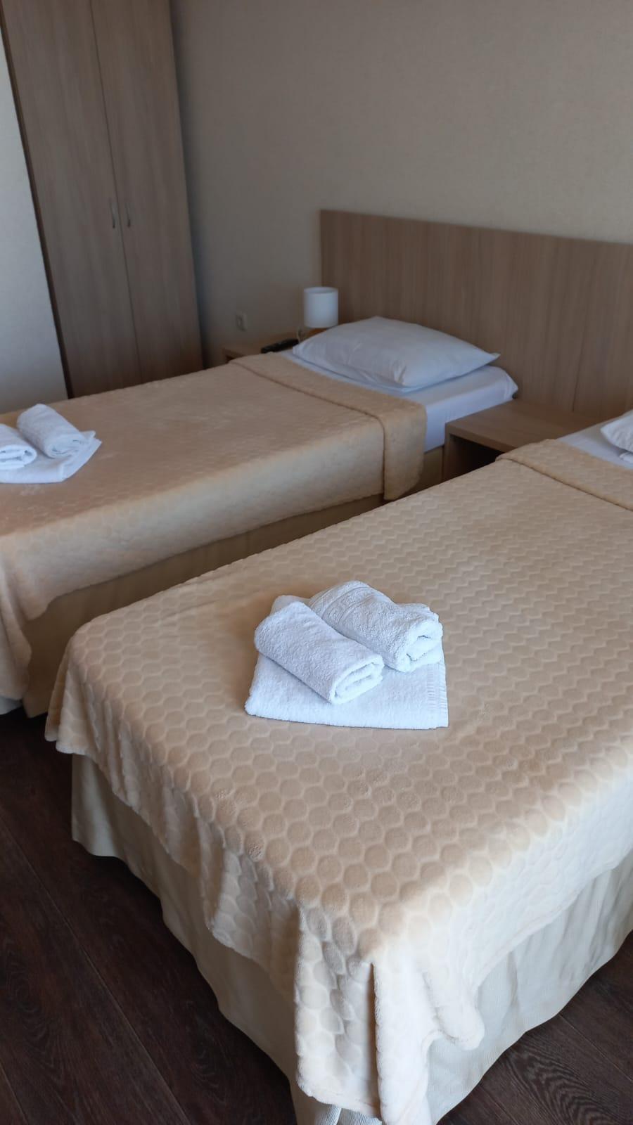 Двухместный номер Делюкс с 1 кроватью или 2 отдельными кроватями