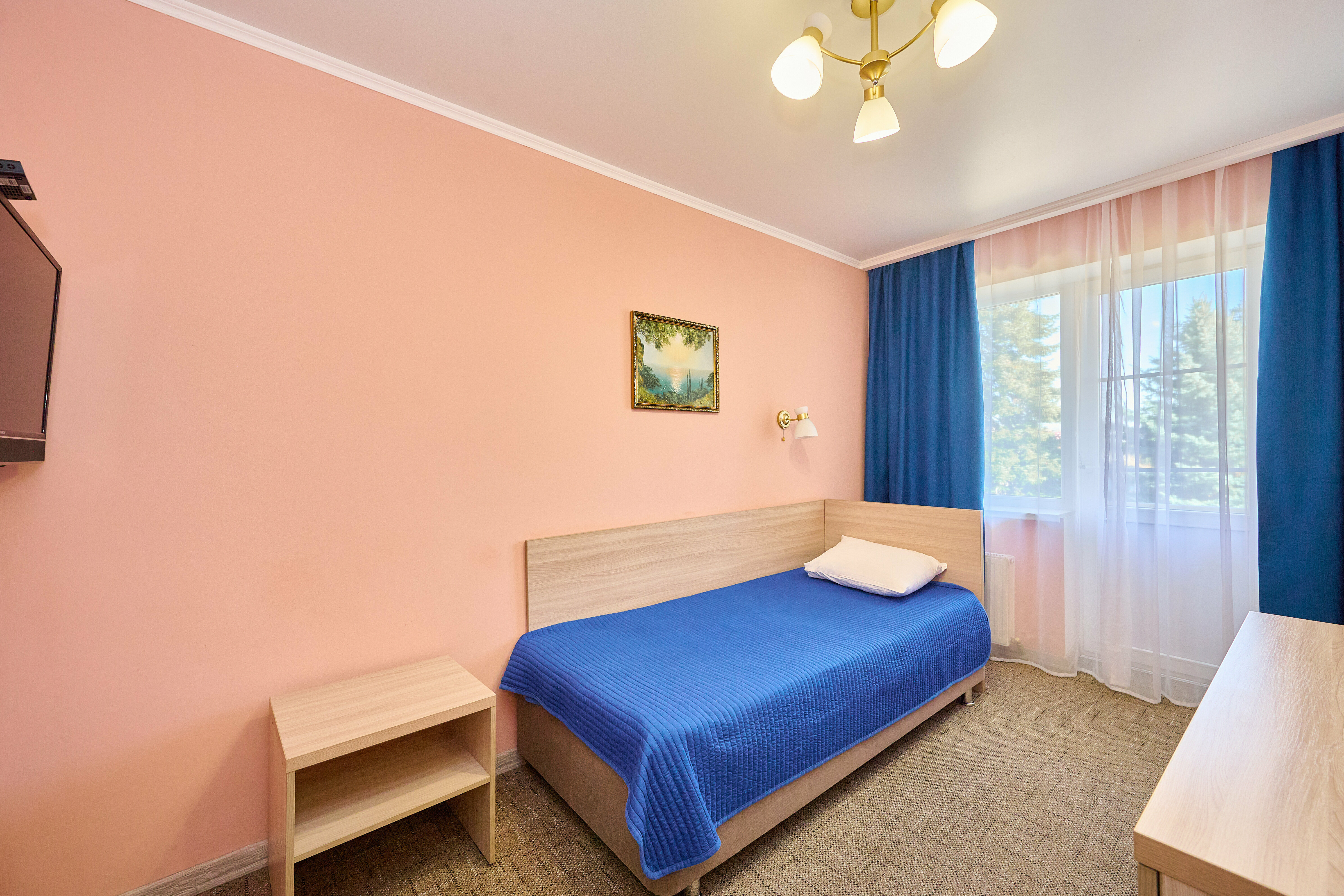 Стандартный одноместный номер