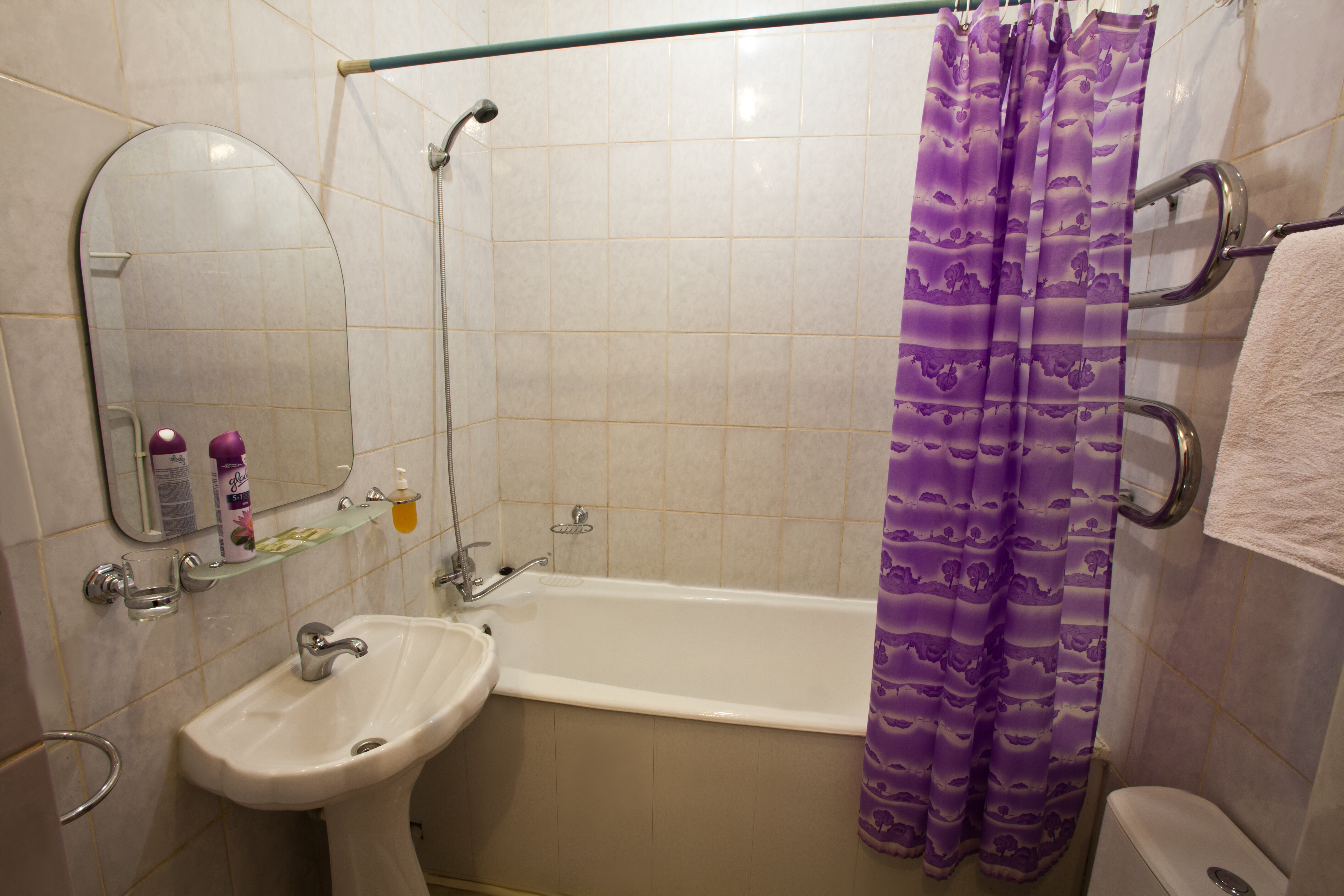 Двухместный номер с 1 кроватью или 2 отдельными кроватями