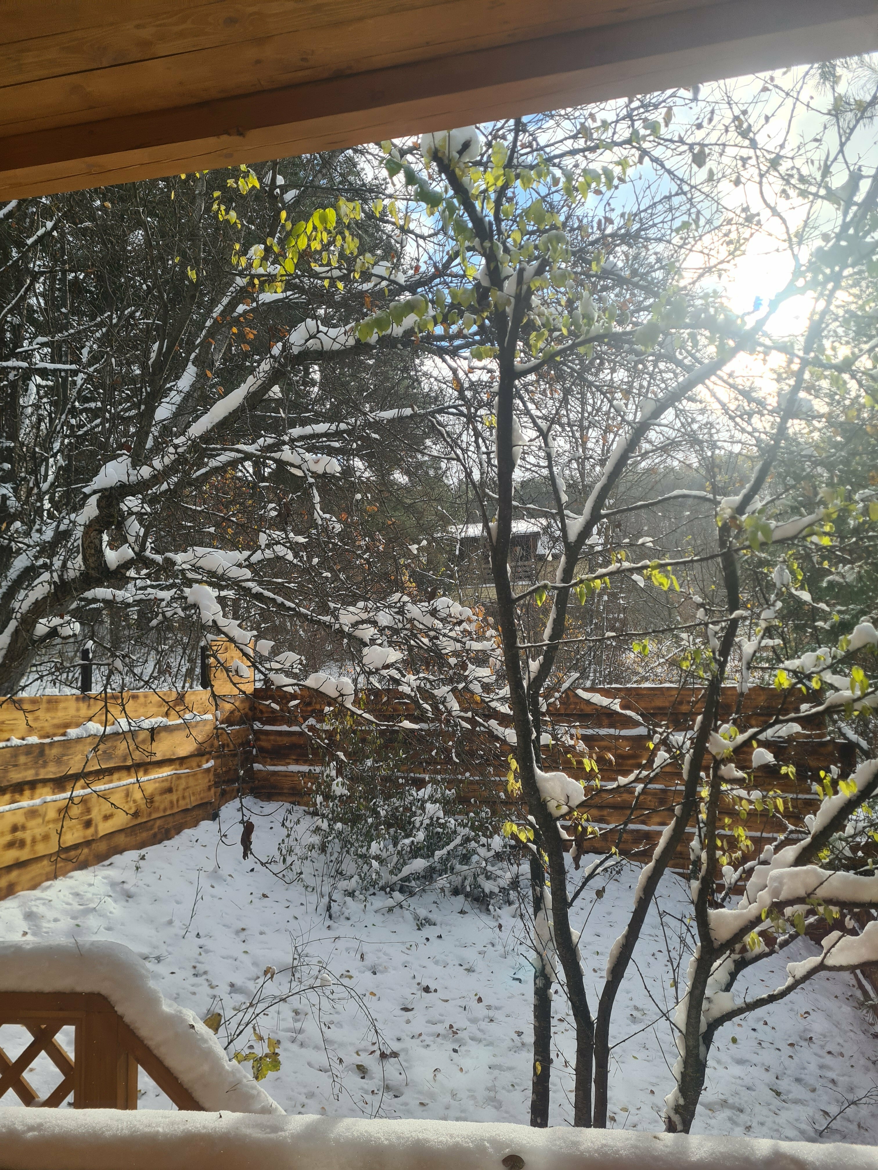 Двухместный номер с 2 двуспальными кроватями