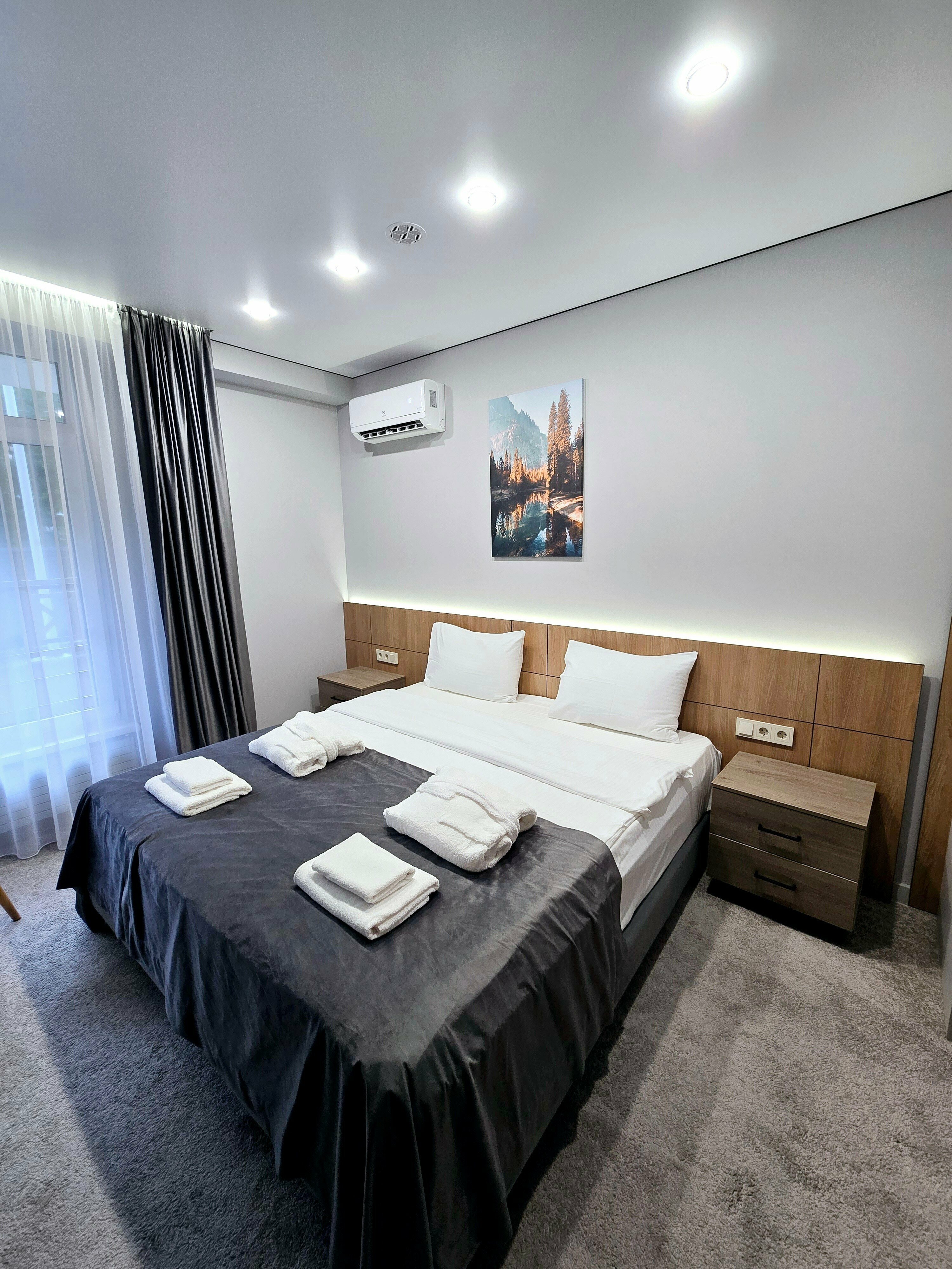 Двухместный номер с 1 кроватью или 2 отдельными кроватями