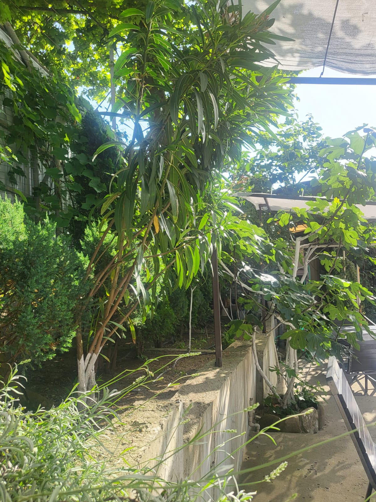 Четырехместный номер