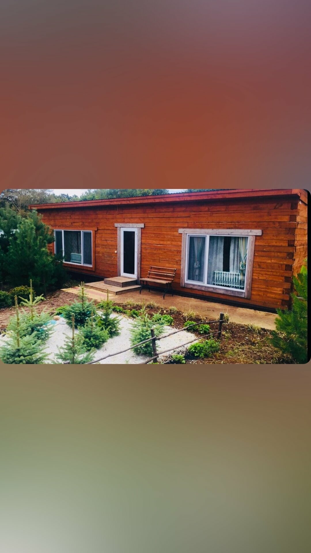 Дом с видом на лес