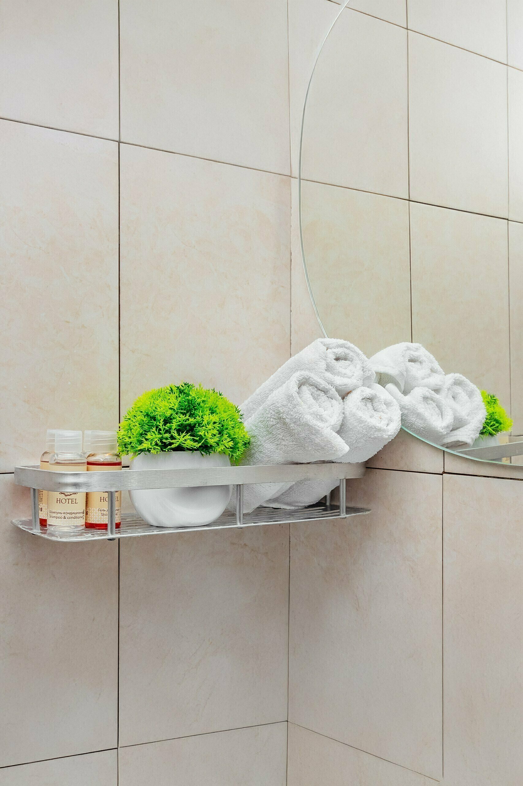 Четырехместный номер БроНау Камелия