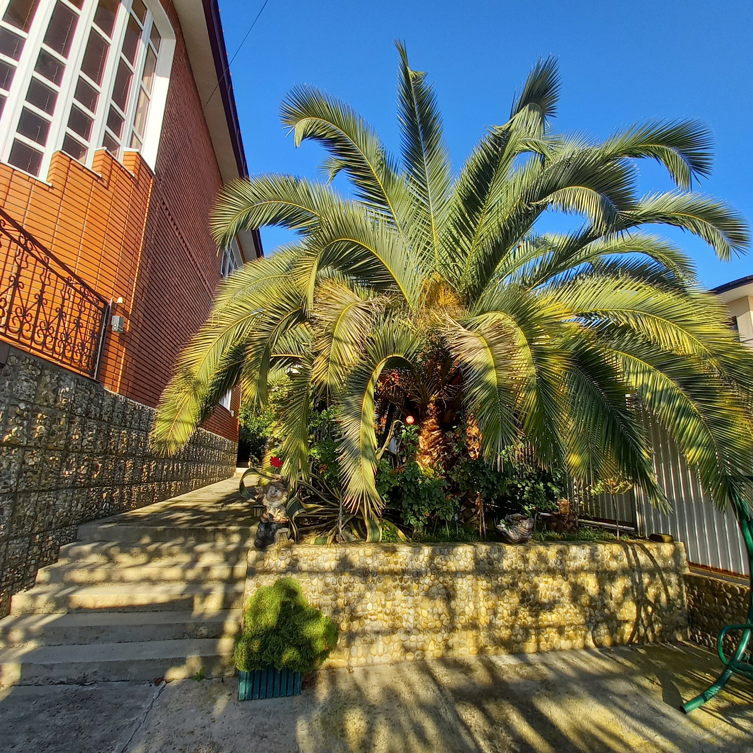 Четырехместный номер с видом на море