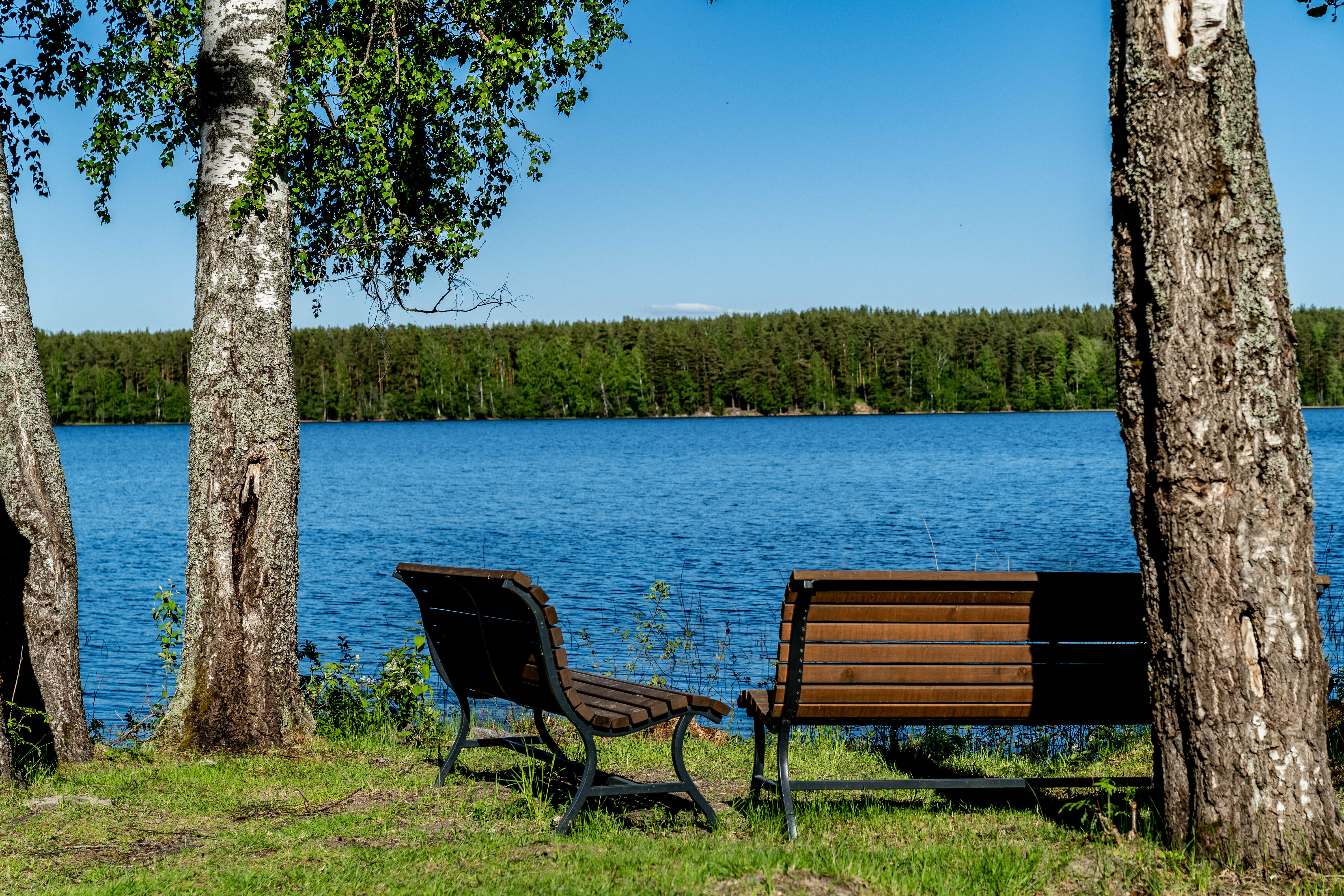 Деревянный дом с камином HARMONY 100