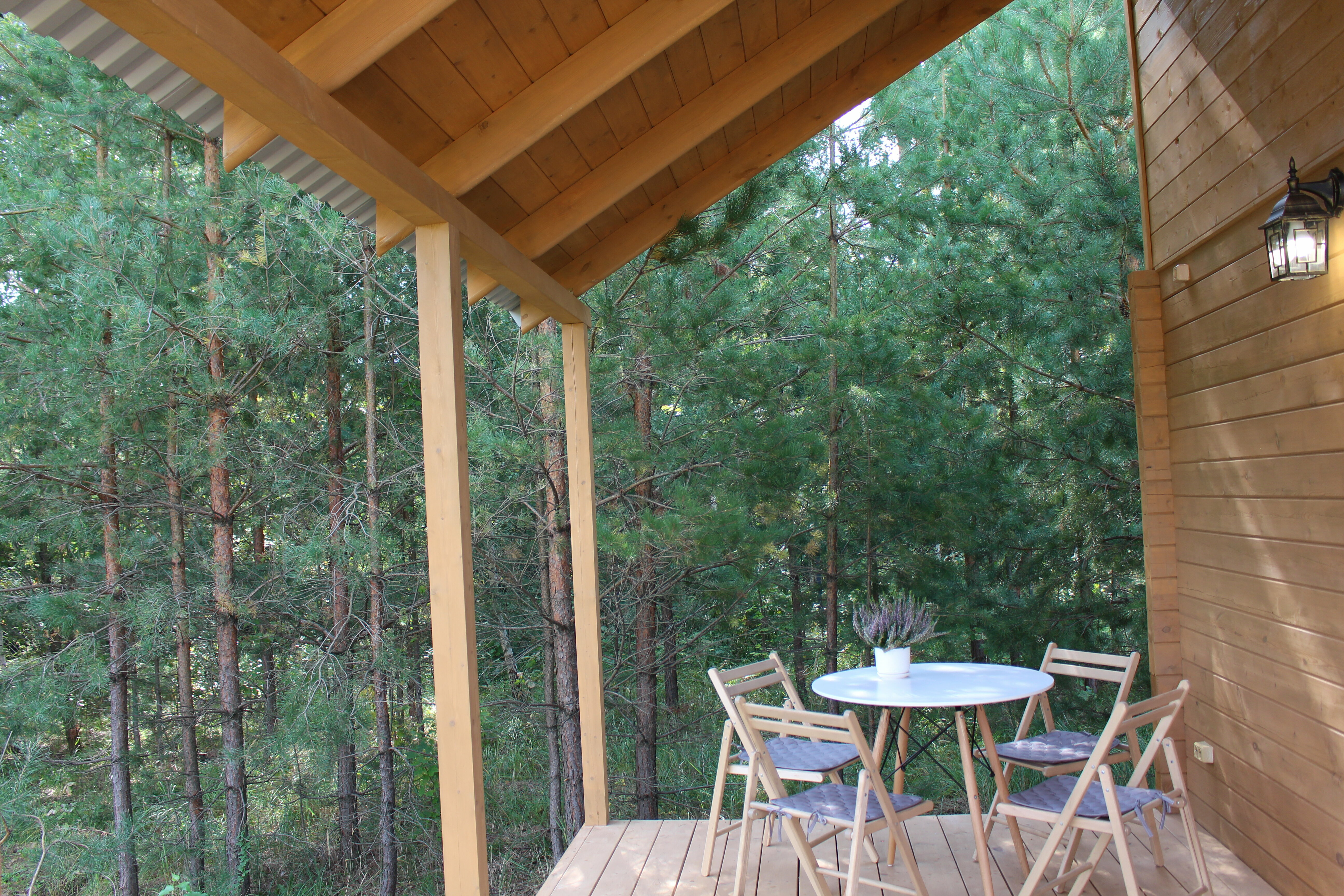 Дом с видом на лес