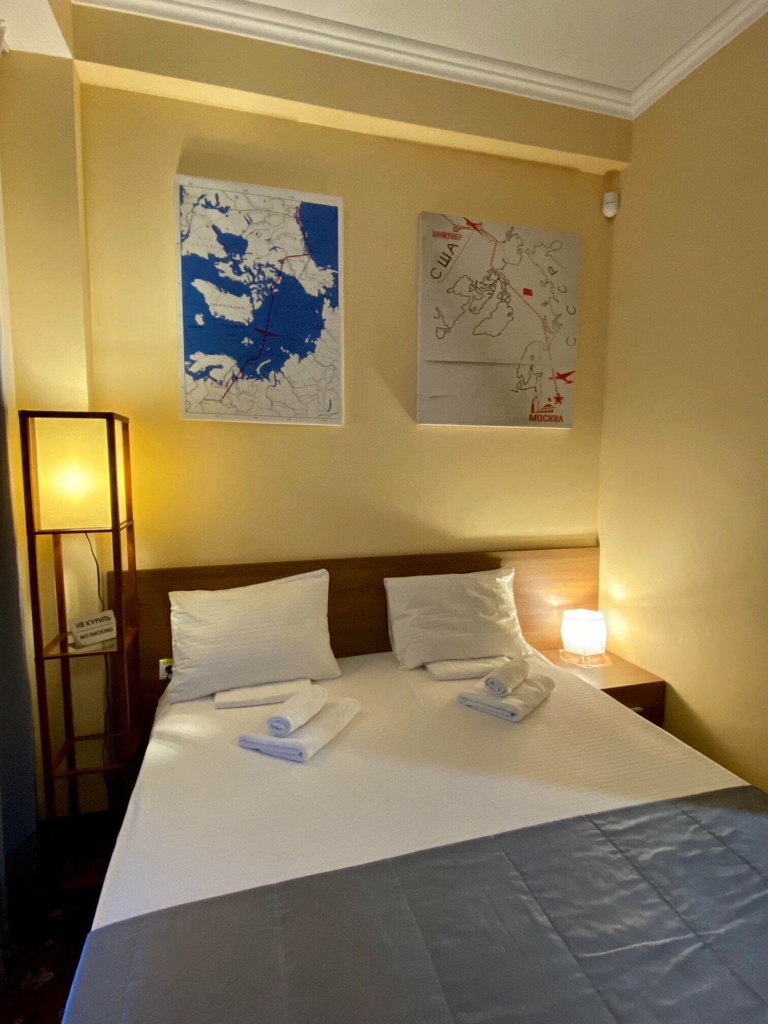 Стандартный двухместный номер с 1 кроватью или 2 отдельными кроватями