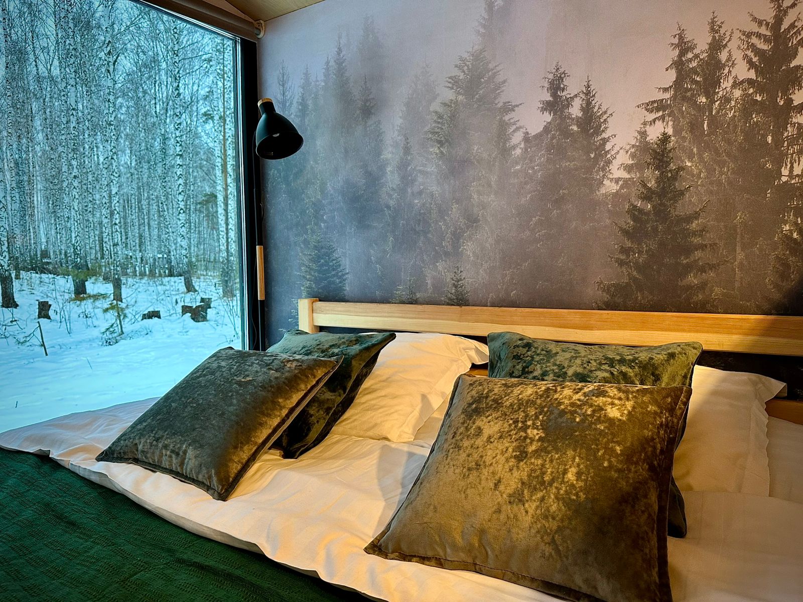 Дом с видом на лес