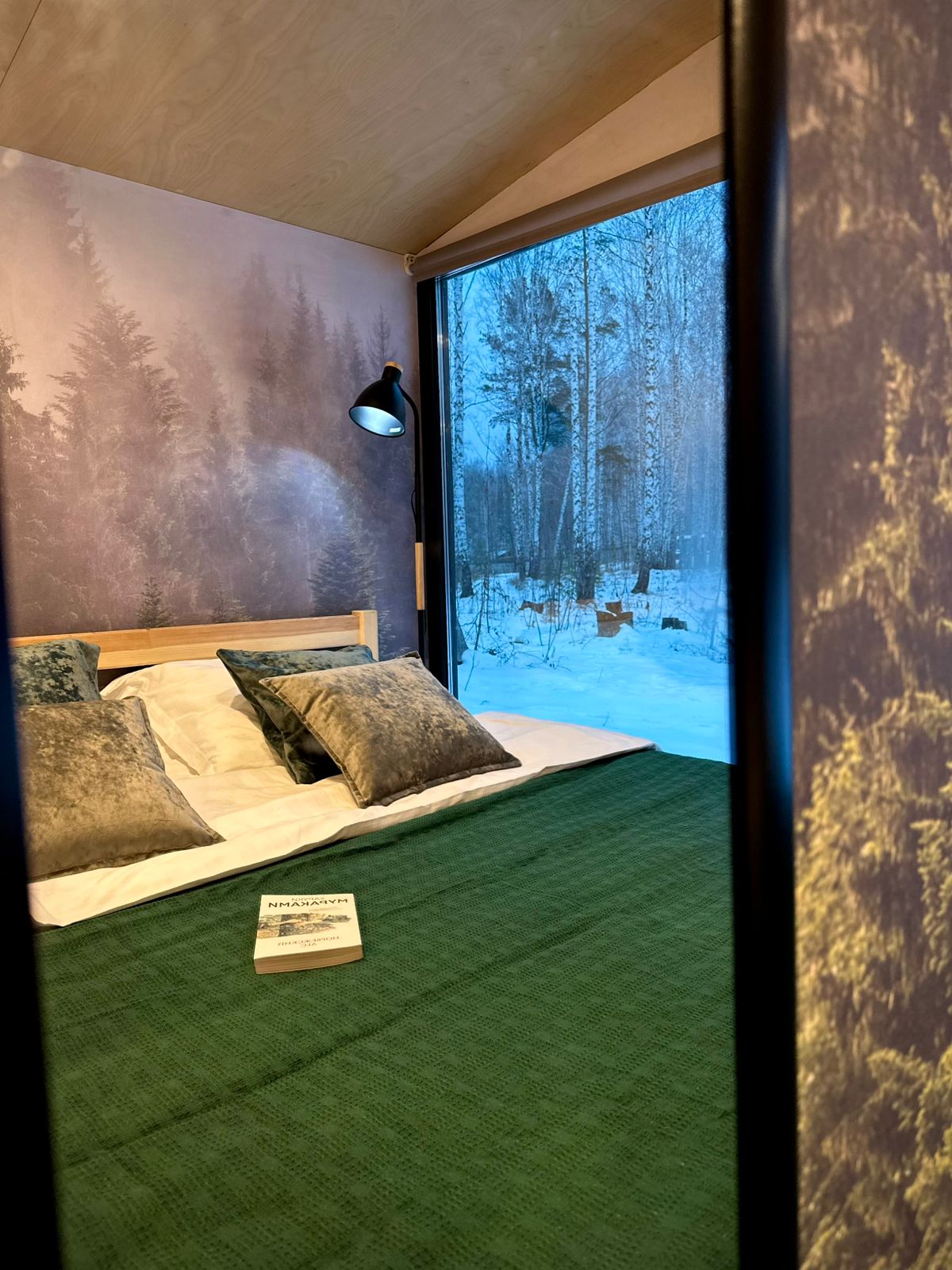 Дом с видом на лес