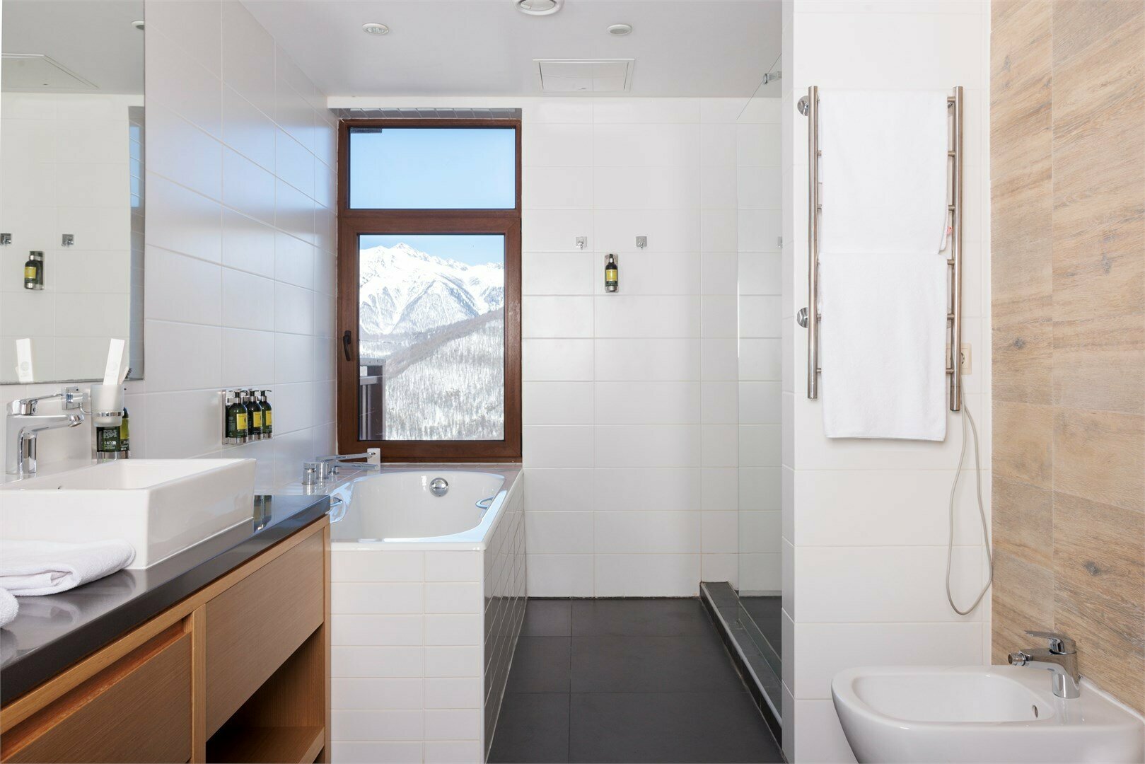 PANORAMA SUITE с одной двуспальной кроватью, видом на горы и диваном-кроватью в гостиной зоне (с 2 балконами)