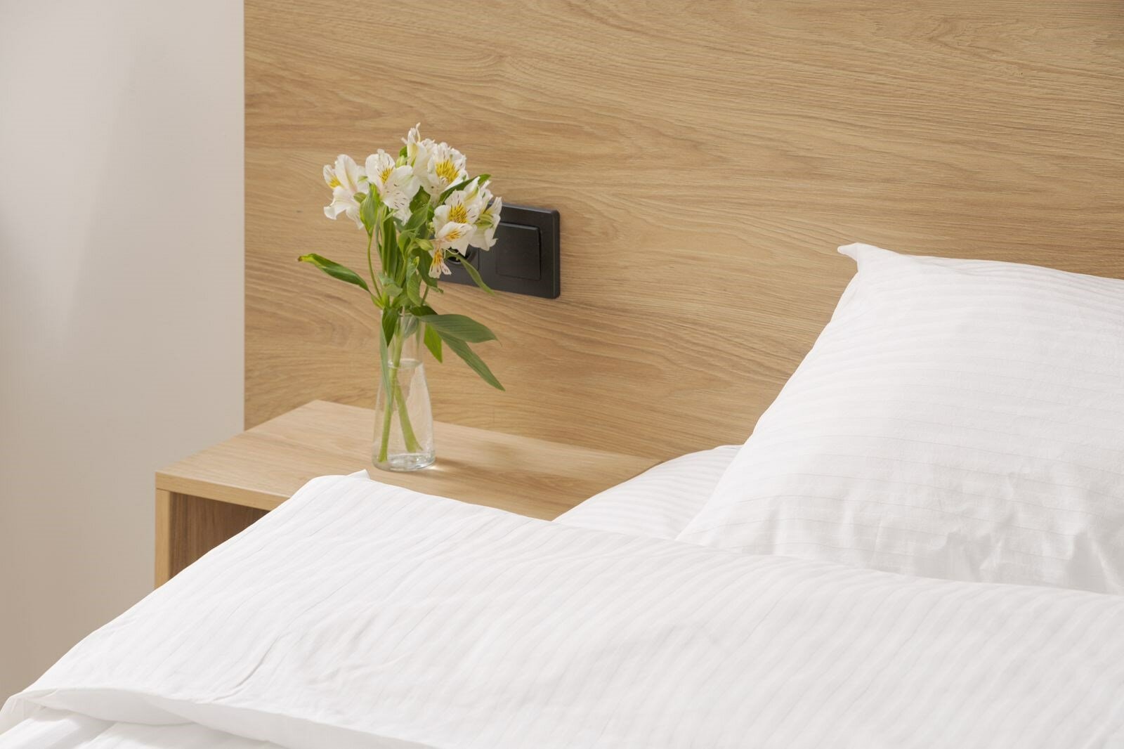 Студия без балкона/Studio without balcony