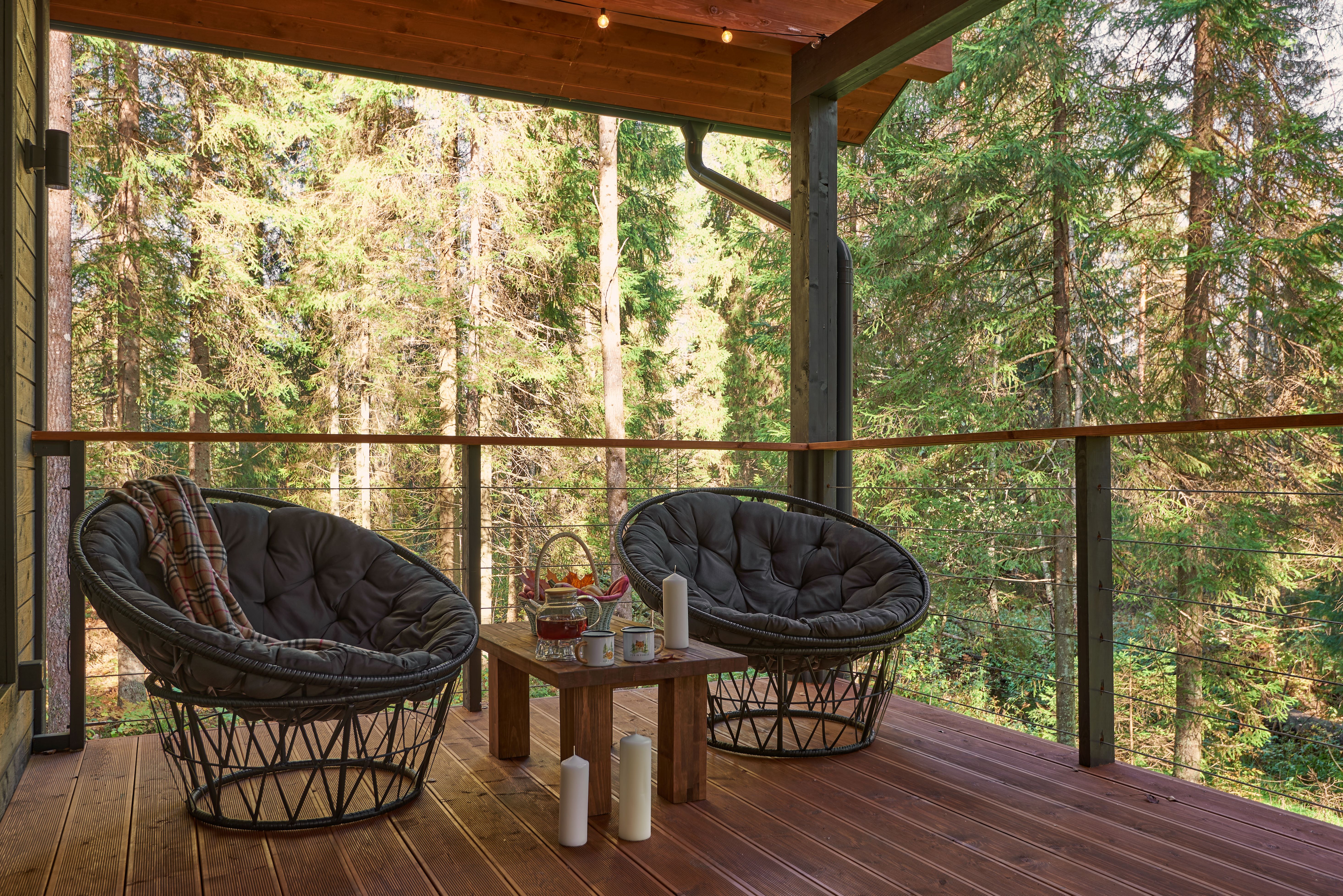 Коттедж с видом на лес