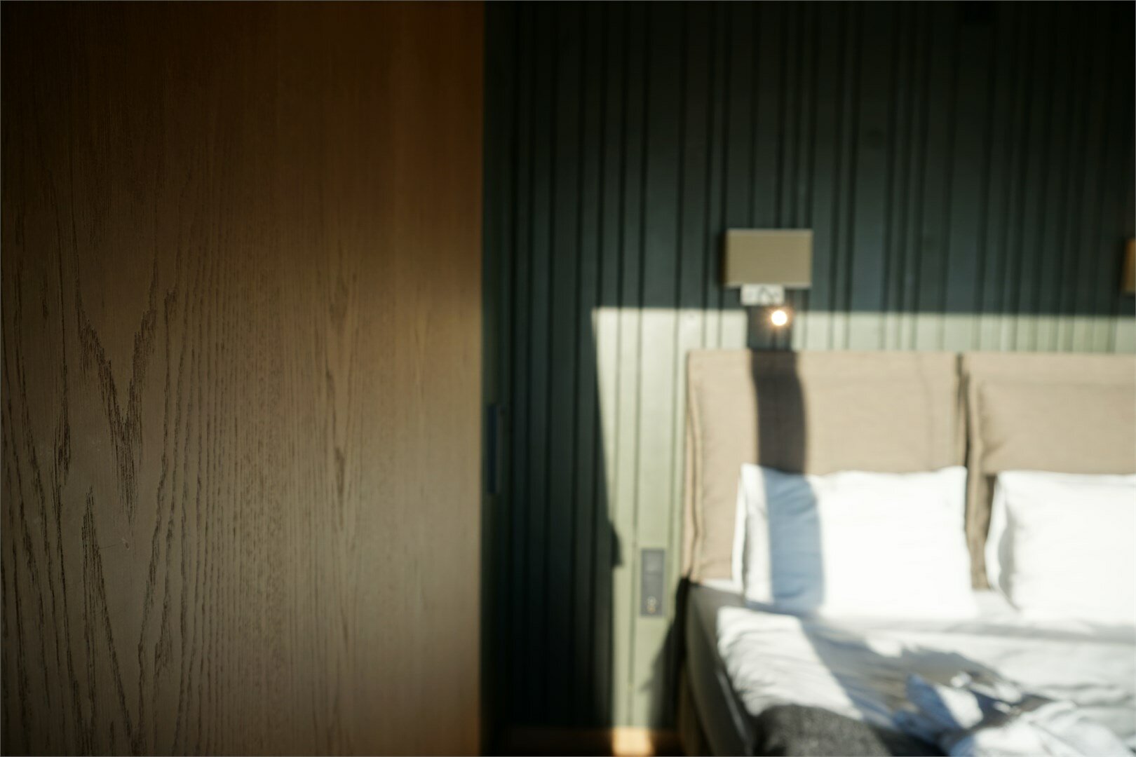 Дом для сна с кинопроектором (18+)