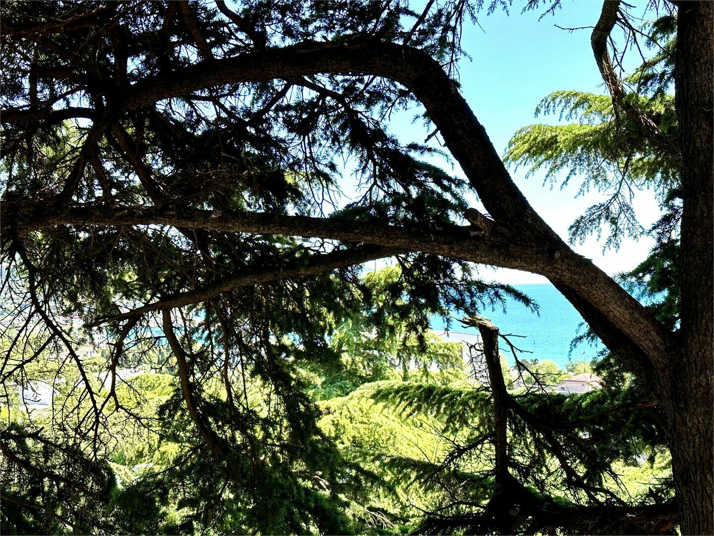 Номера Комфорт без балкона с одной совместной кроватью с видом на море