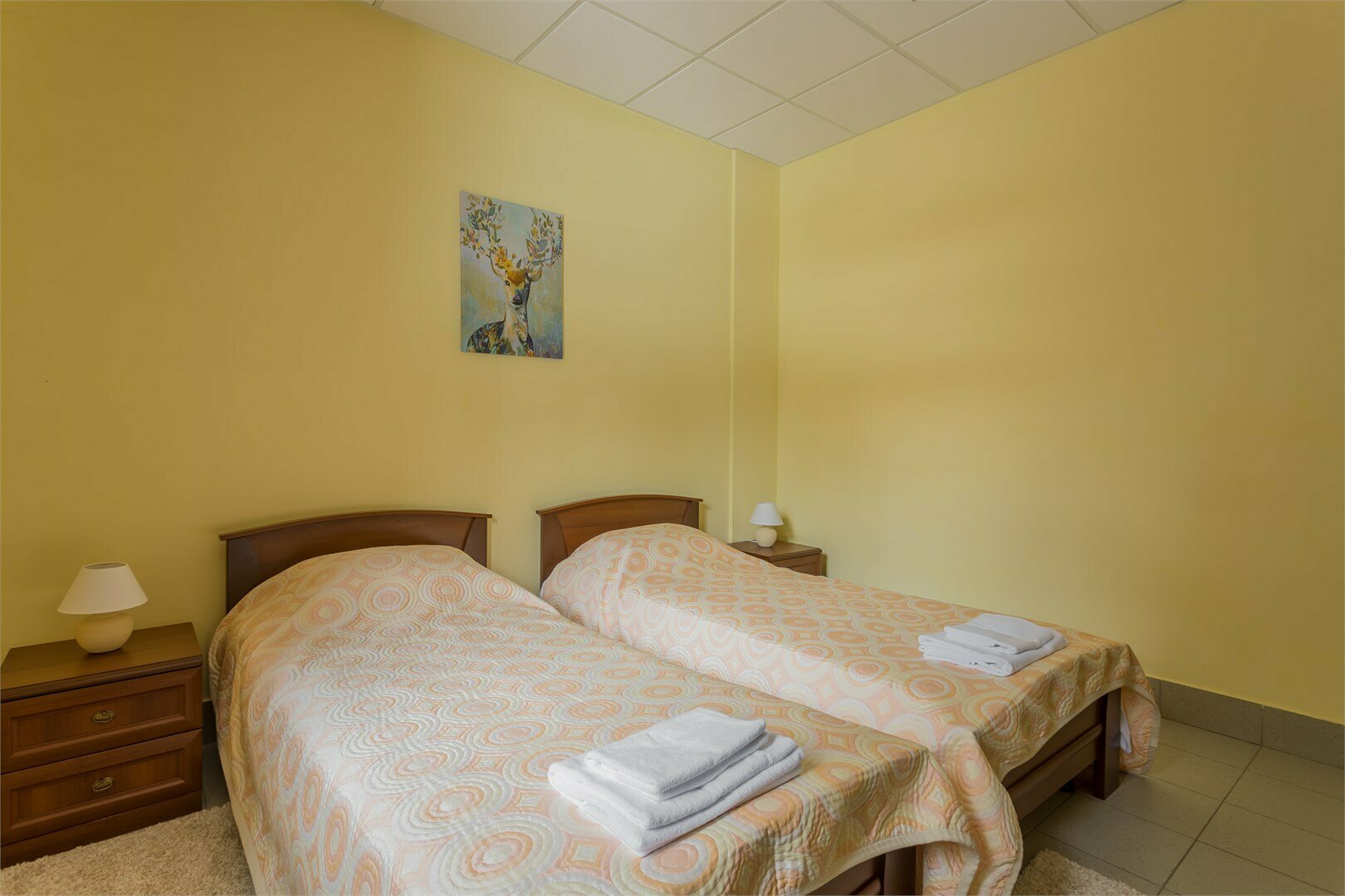 Бюджетный двухместный номер с 2 отдельными кроватями