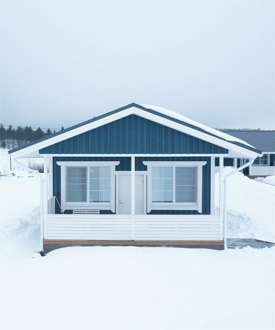 Черника Маленькая 45м2 без питомцев