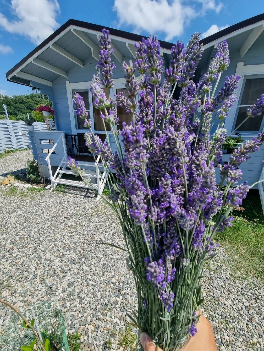 Трехместный номер «Комфорт»