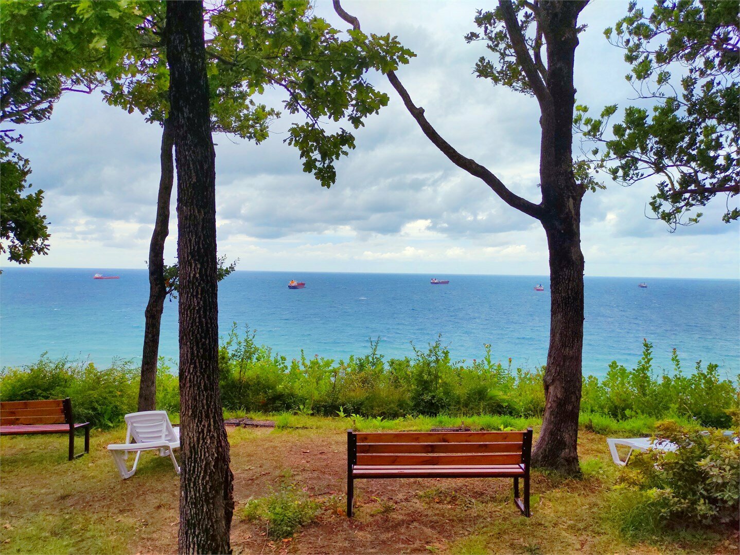 Дом с видом на лес