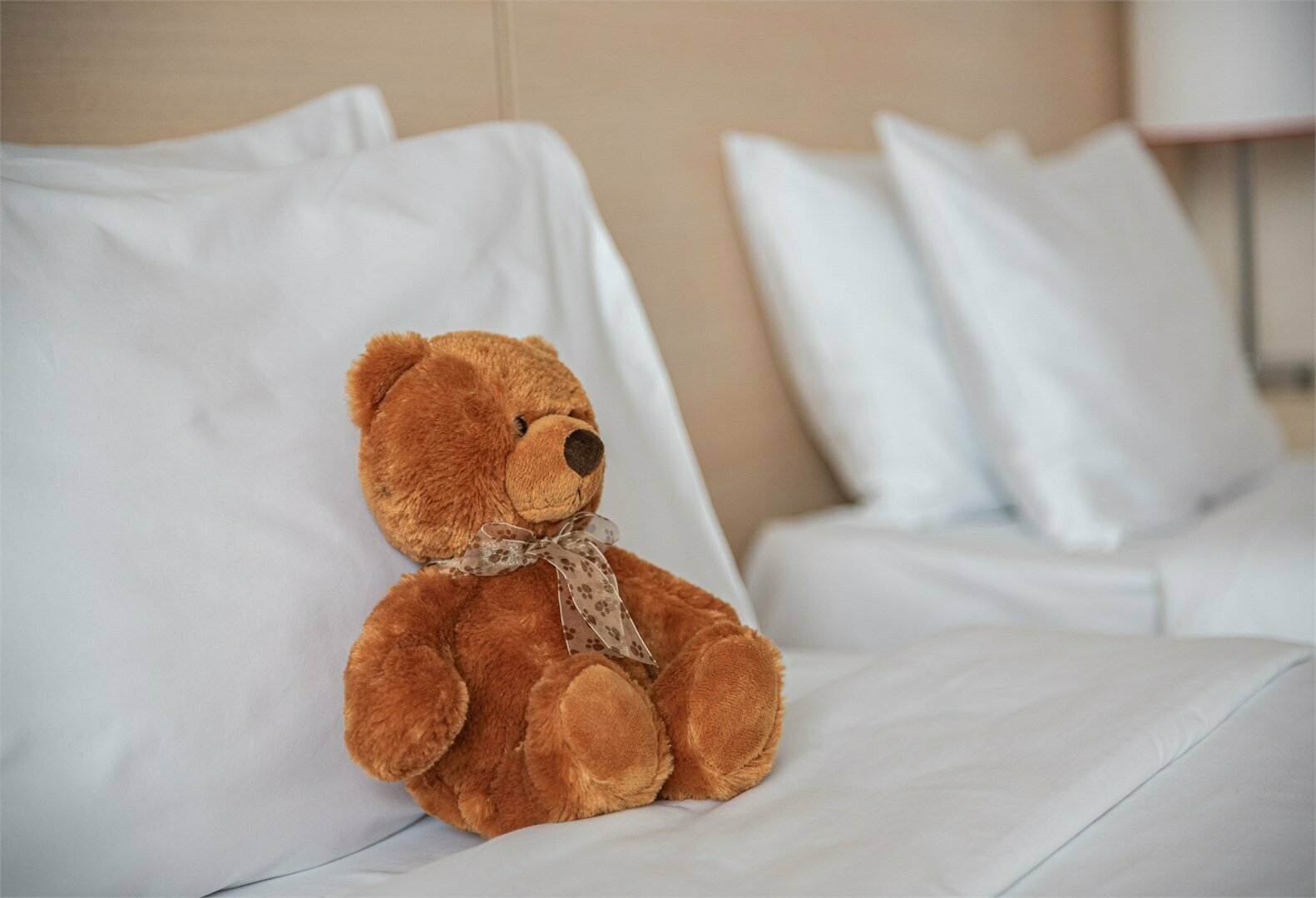 Семейный джуниор сюит