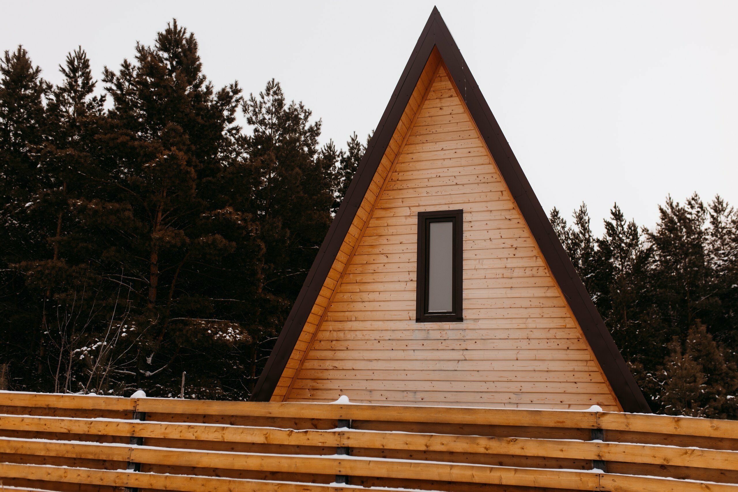 Дом с видом на лес