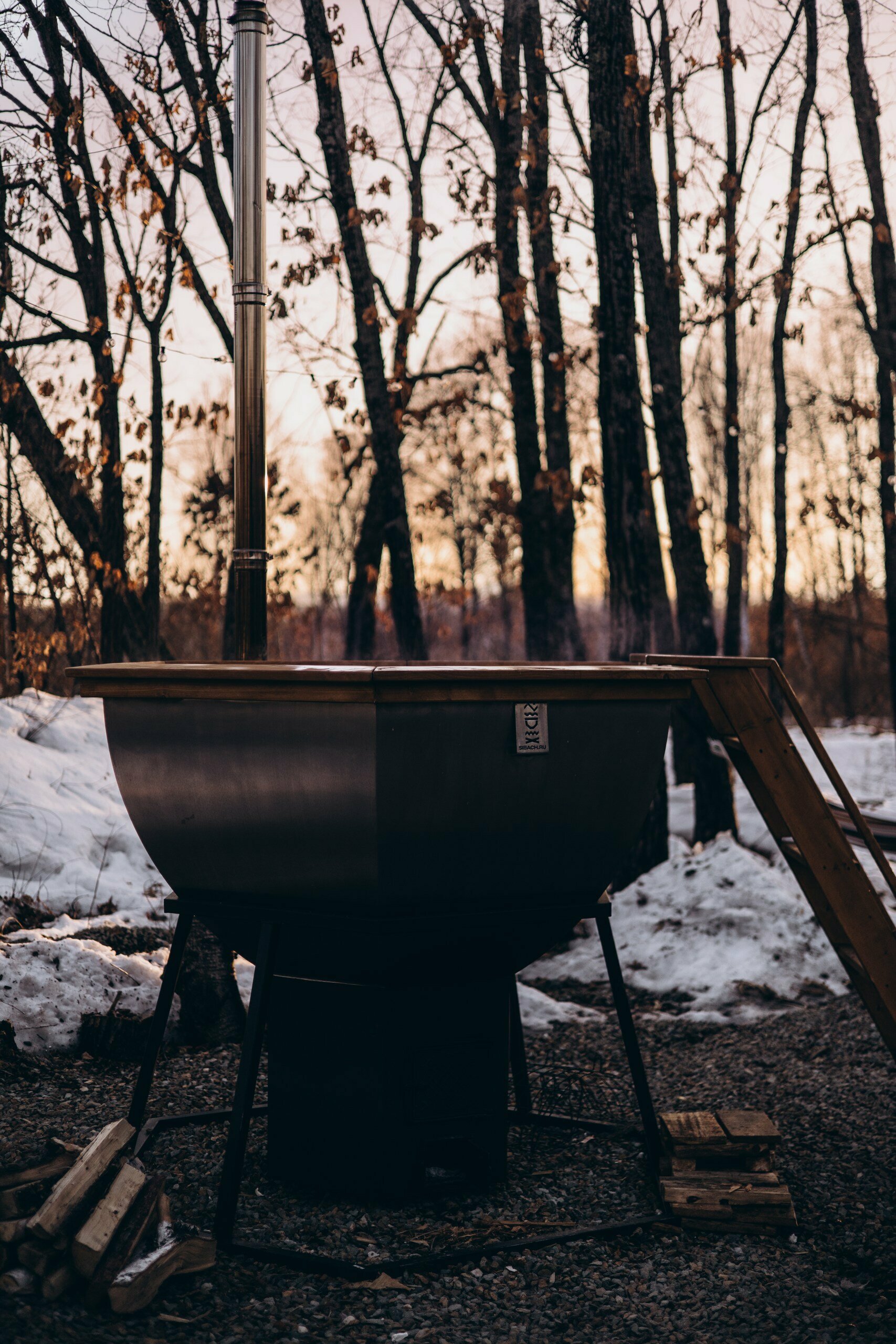 Дом с видом на лес