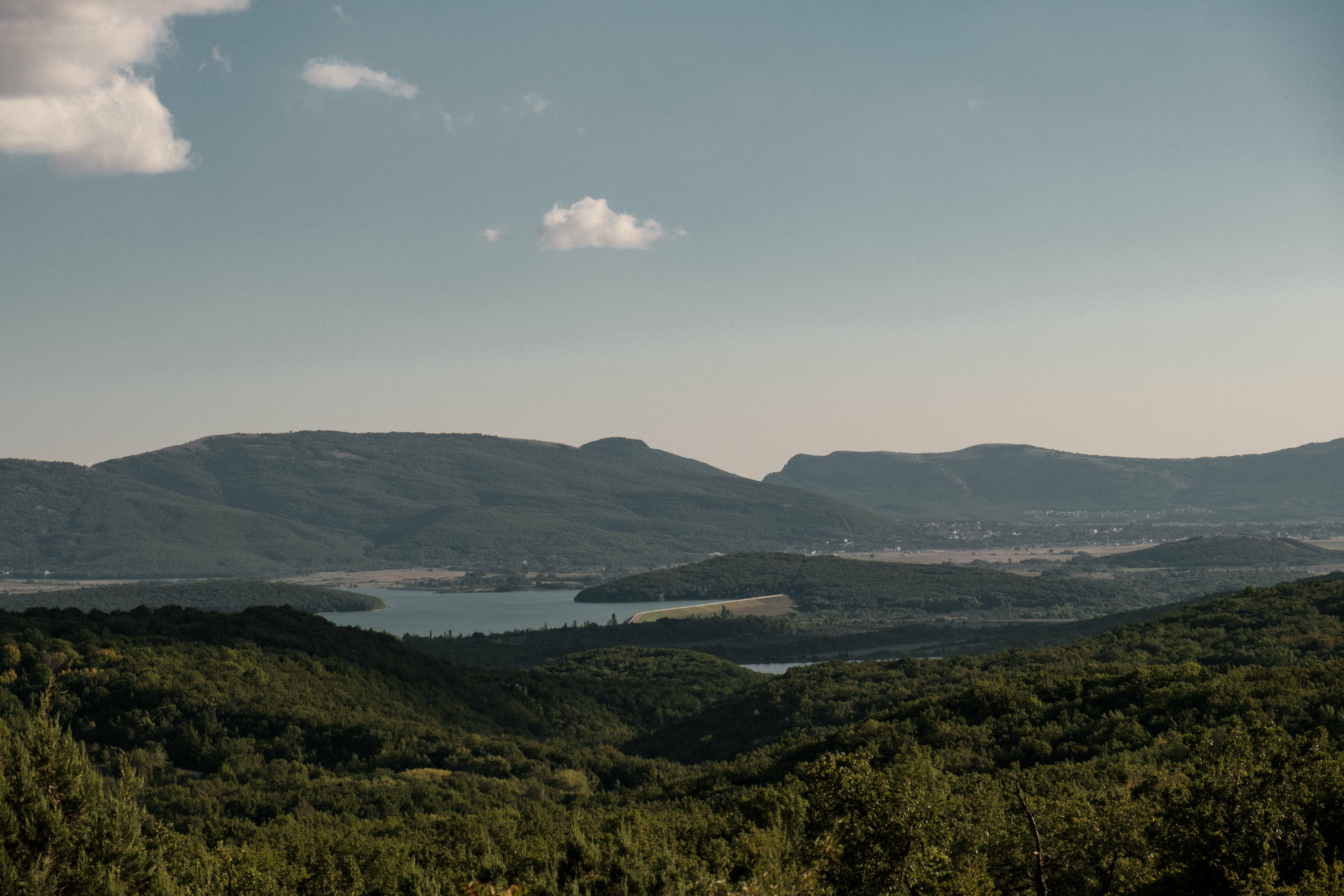 Коттедж с видом на лес