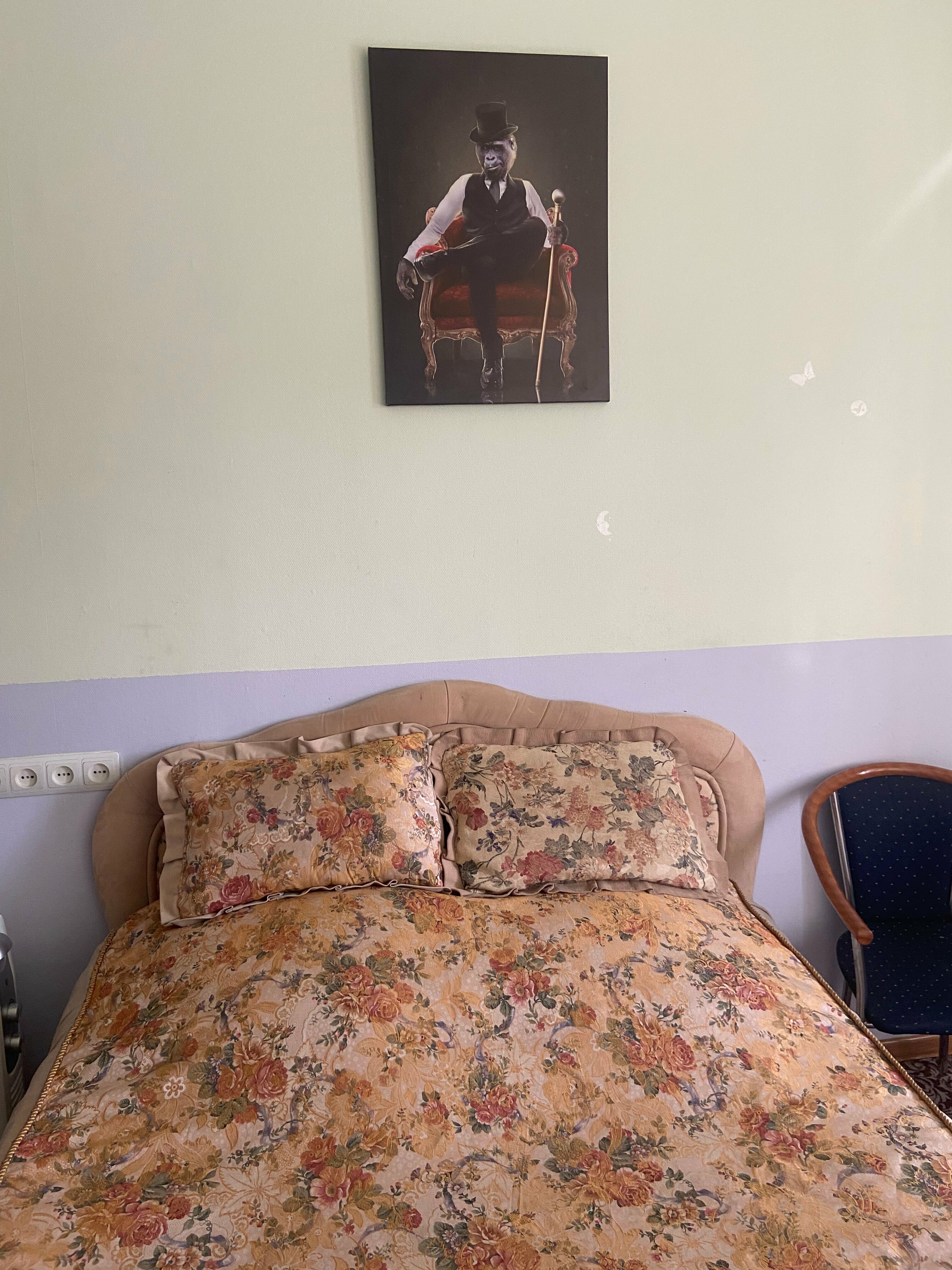 Двухместный номер с 1 кроватью и видом на парк