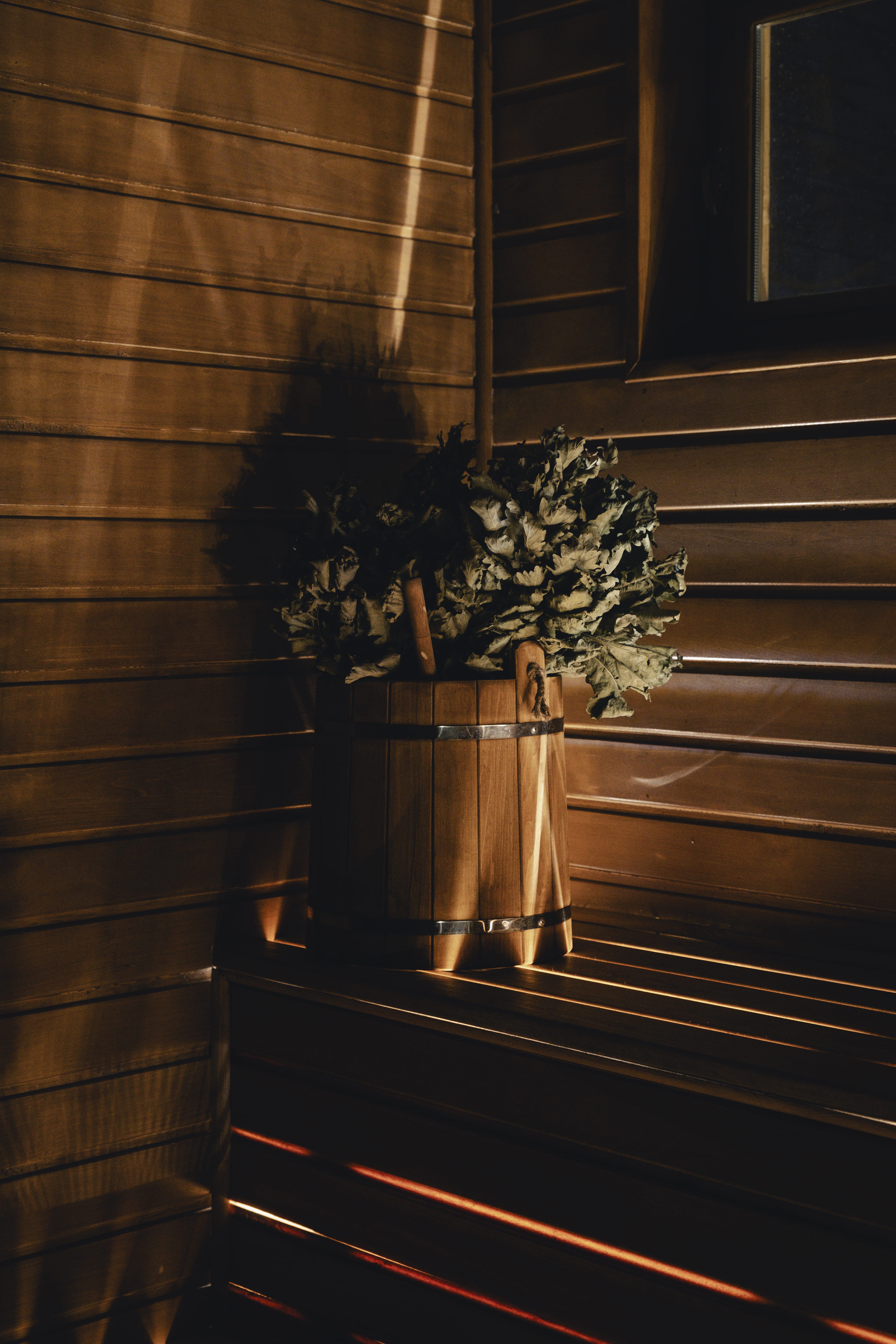 Дом падающих листьев