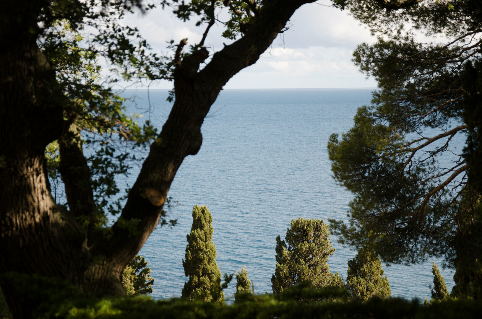 Люкс двухкомнатный | Дача "Чайка" | Морской прибой