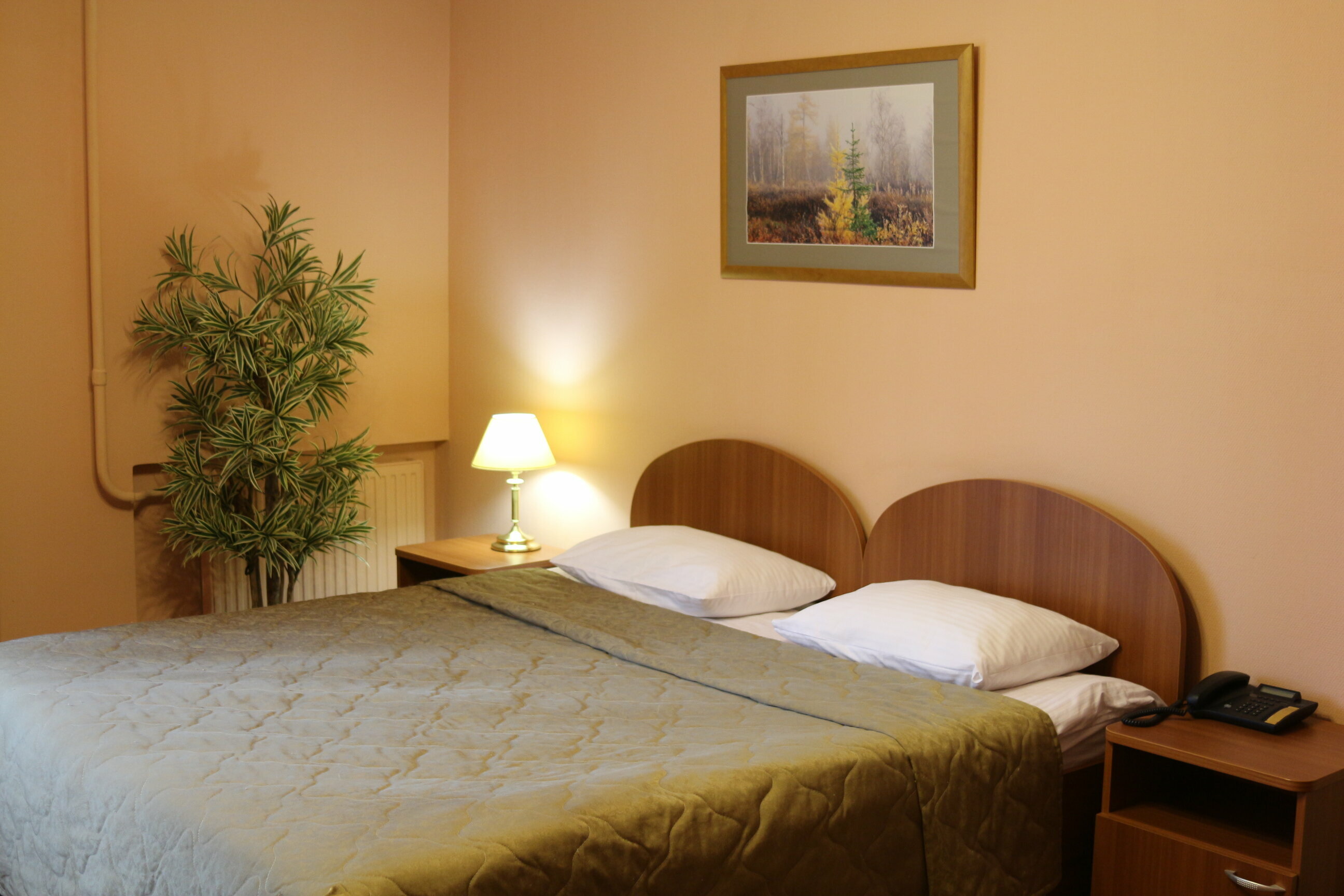 Стандартный двухместный номер с 1 кроватью или 2 отдельными кроватями