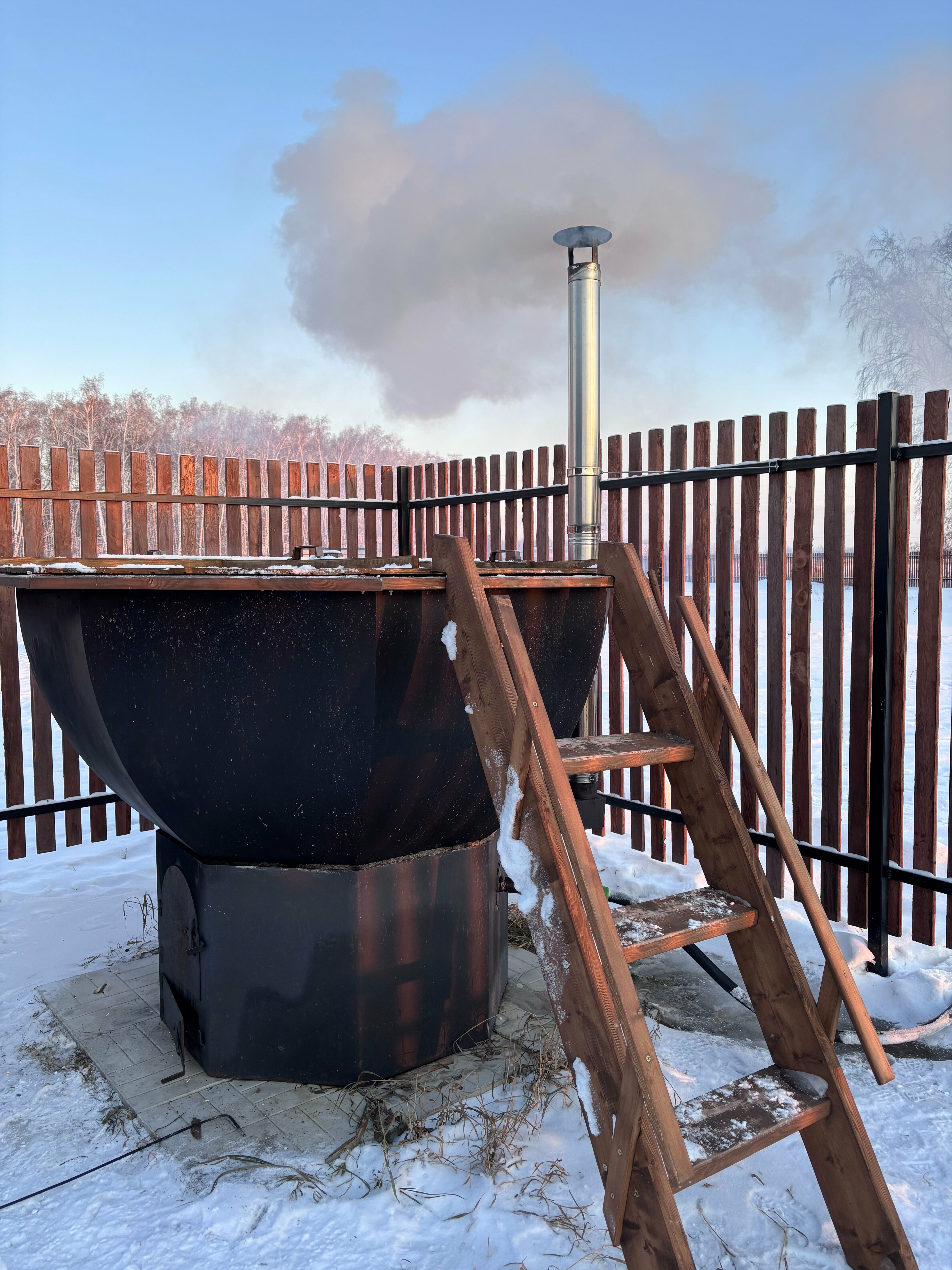 Дом с видом на лес