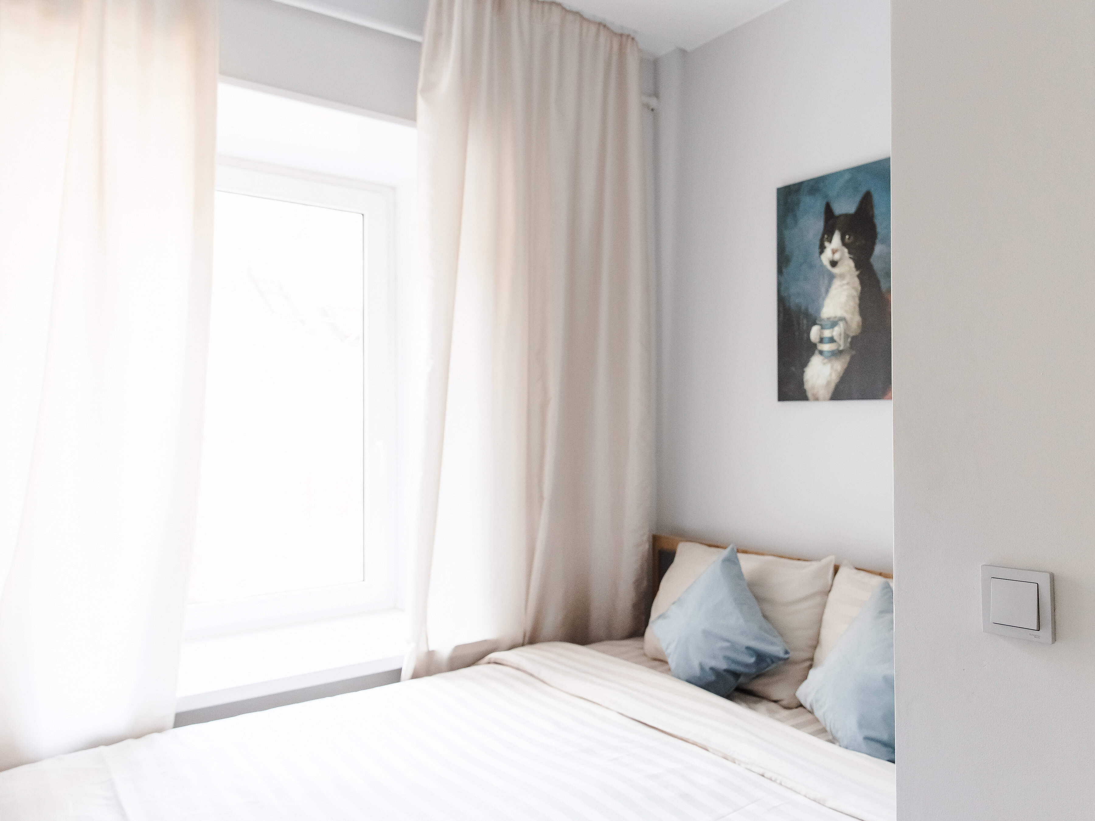 Уютный маленький одноместный номер с новым ремонтом, большой кроватью  и индивидуальной ванной комнатой в 1 метре от номера