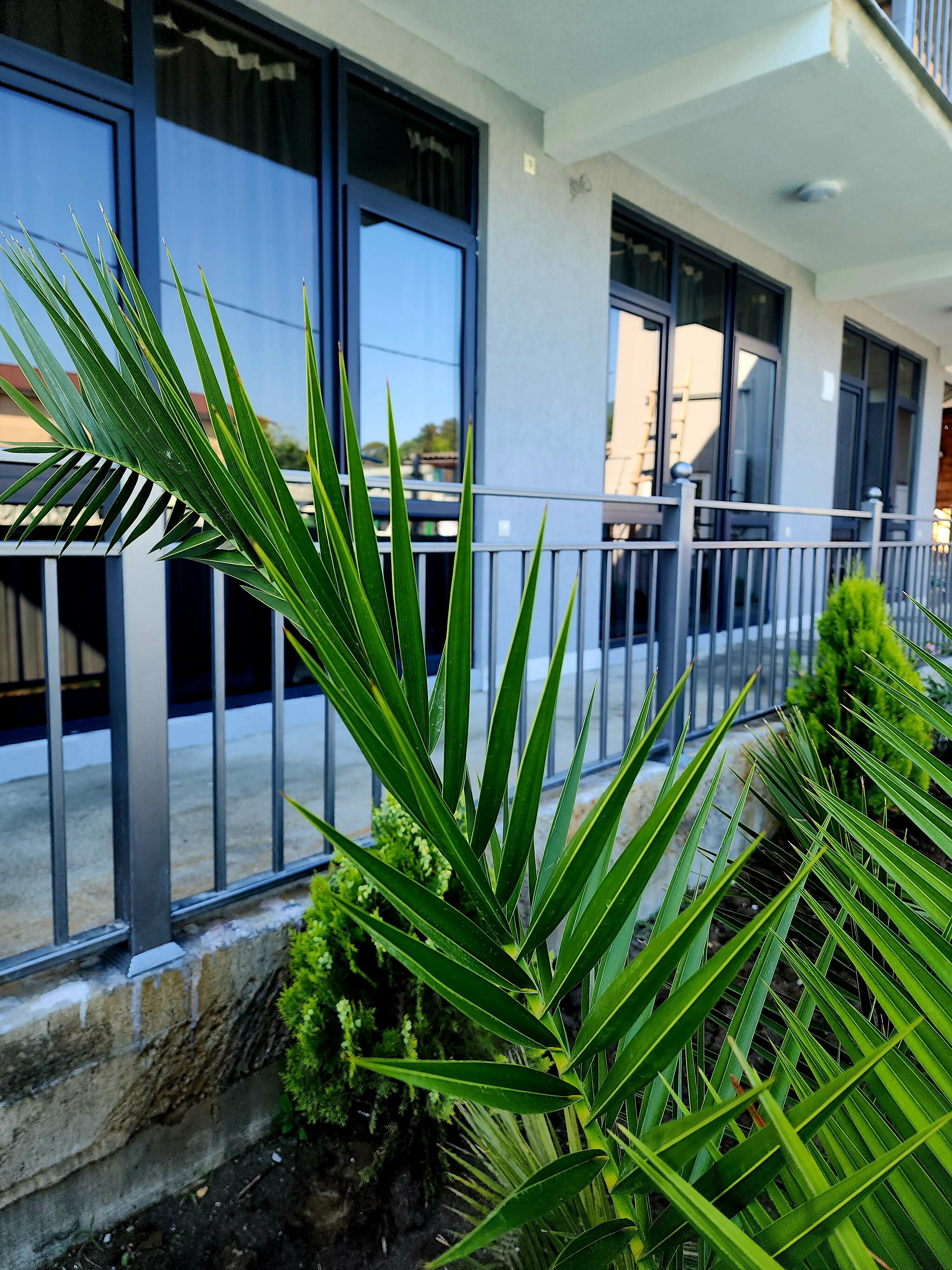 Четырехместный номер «Комфорт»