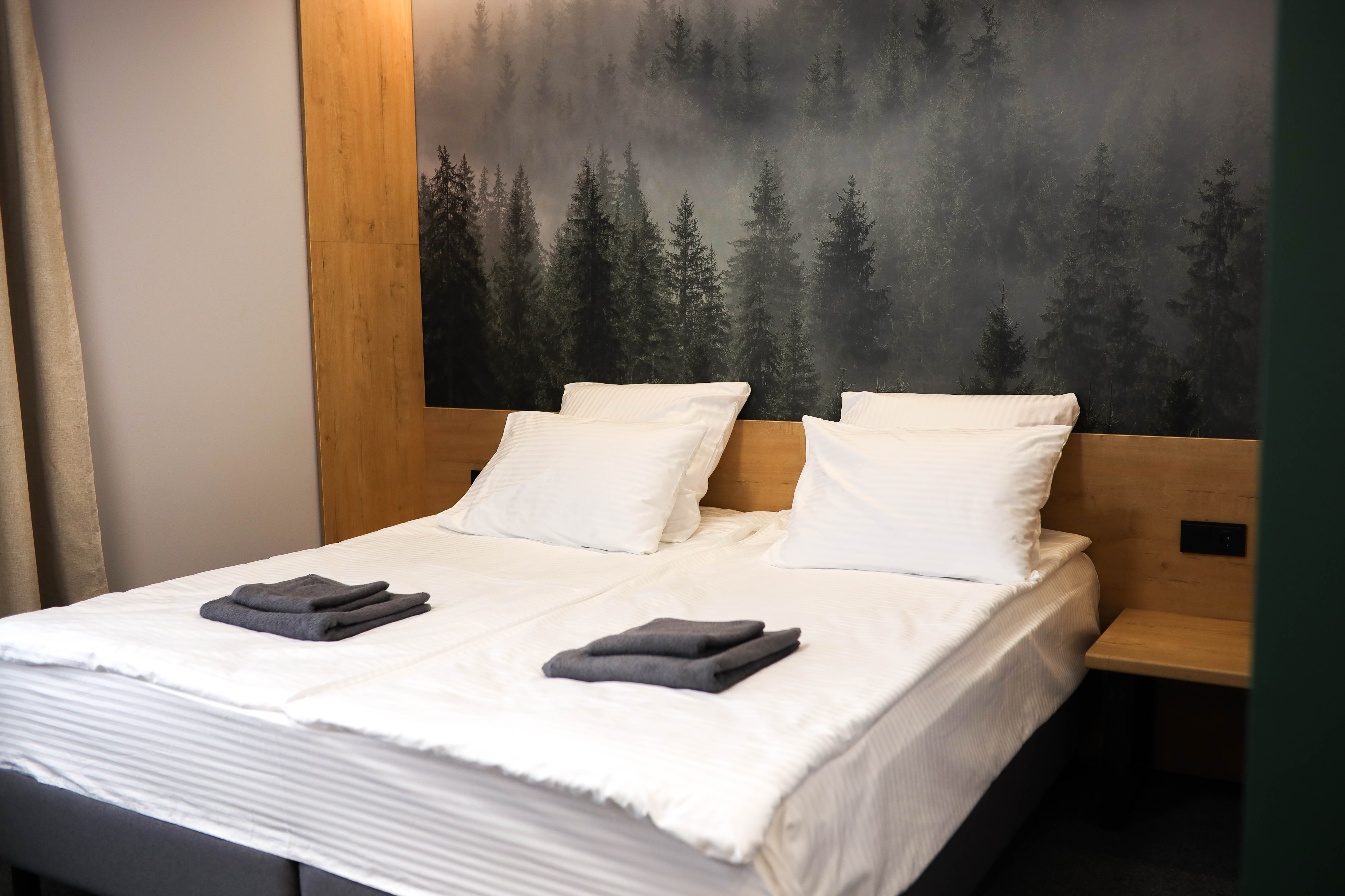 Стандартный двухместный номер с 1 кроватью или 2 отдельными кроватями