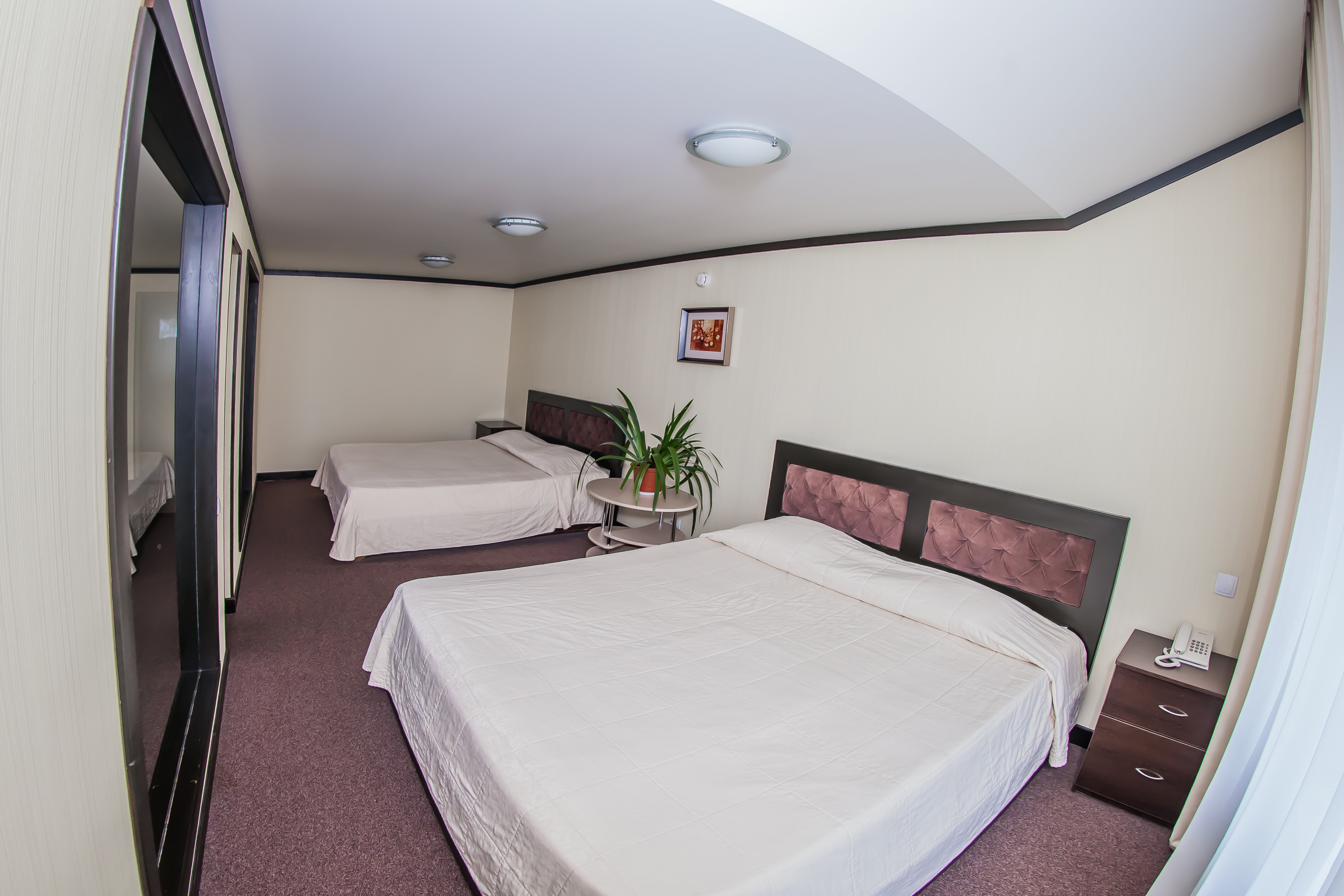 301 2-х местный номер "Люкс"