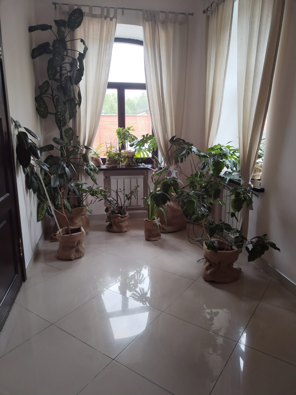 Двухместный номер с 2 отдельными кроватями