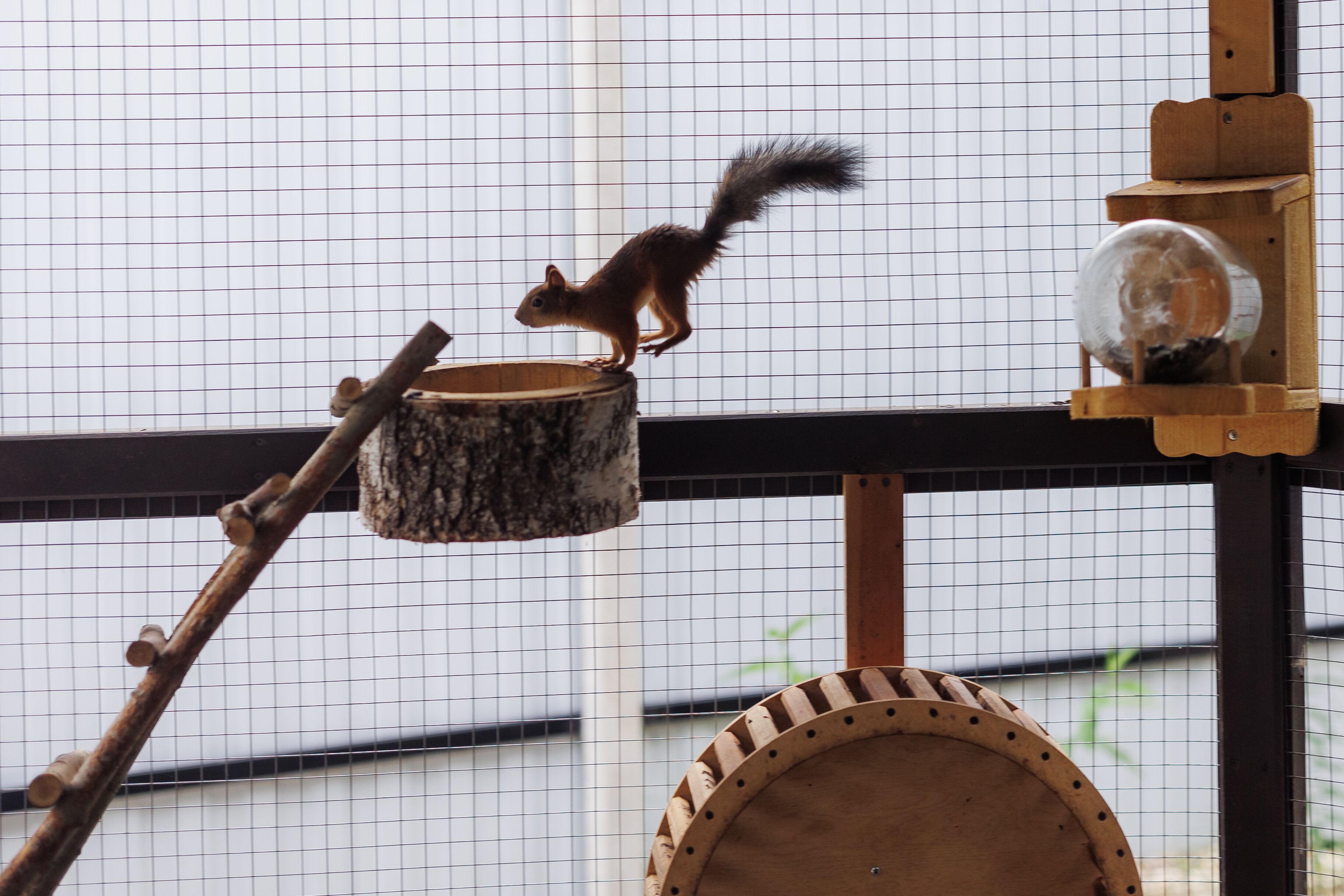 Двухуровневый четырехместный номер