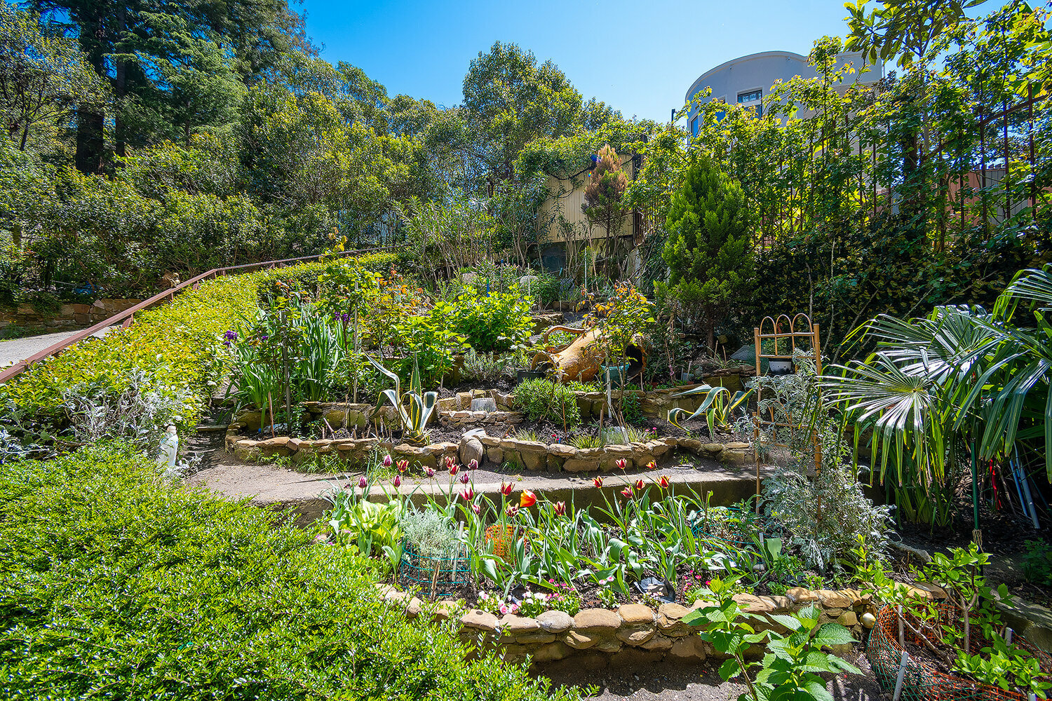 Апартаменты с 1 спальней