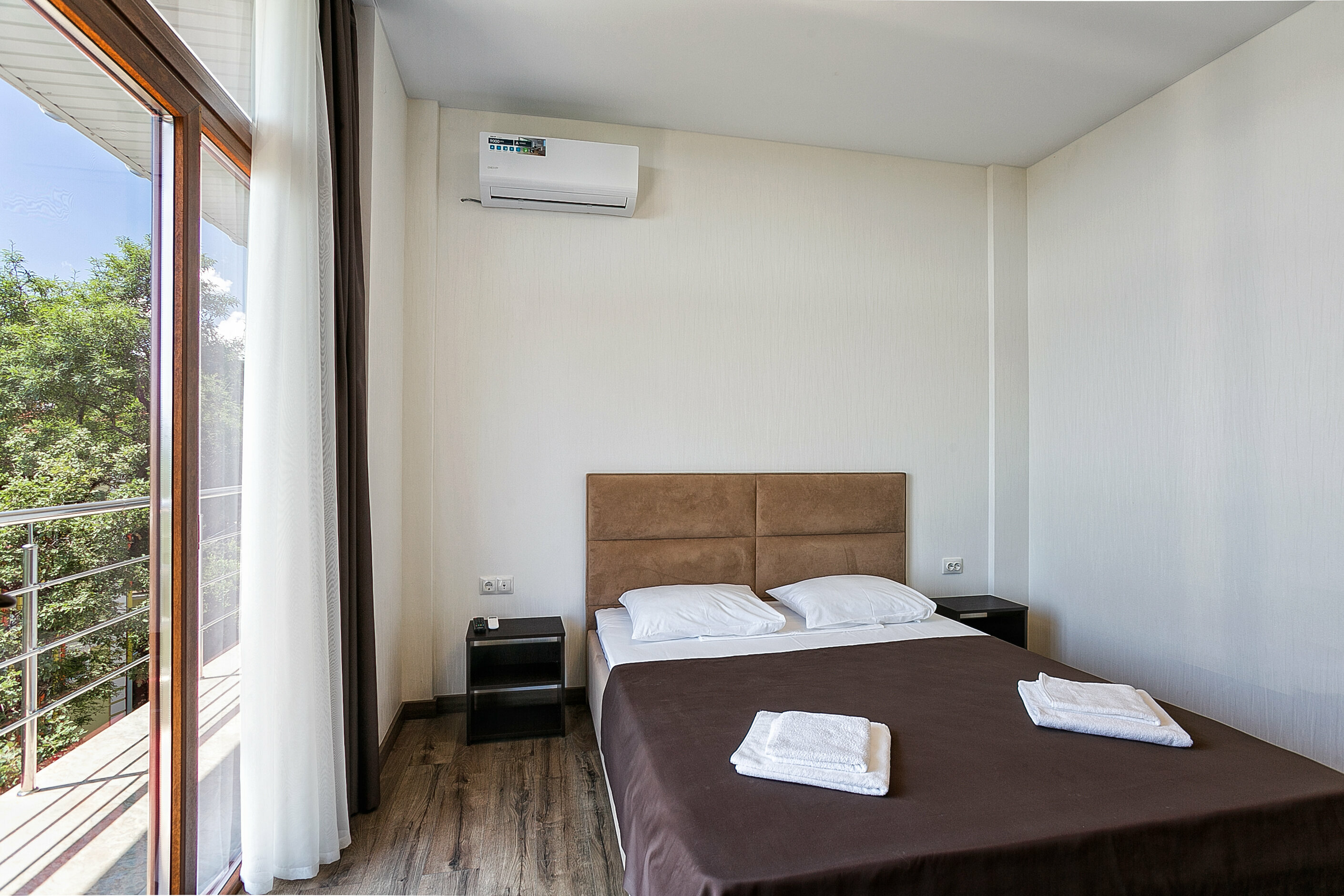 Двухместный номер с 1 кроватью и видом на парк