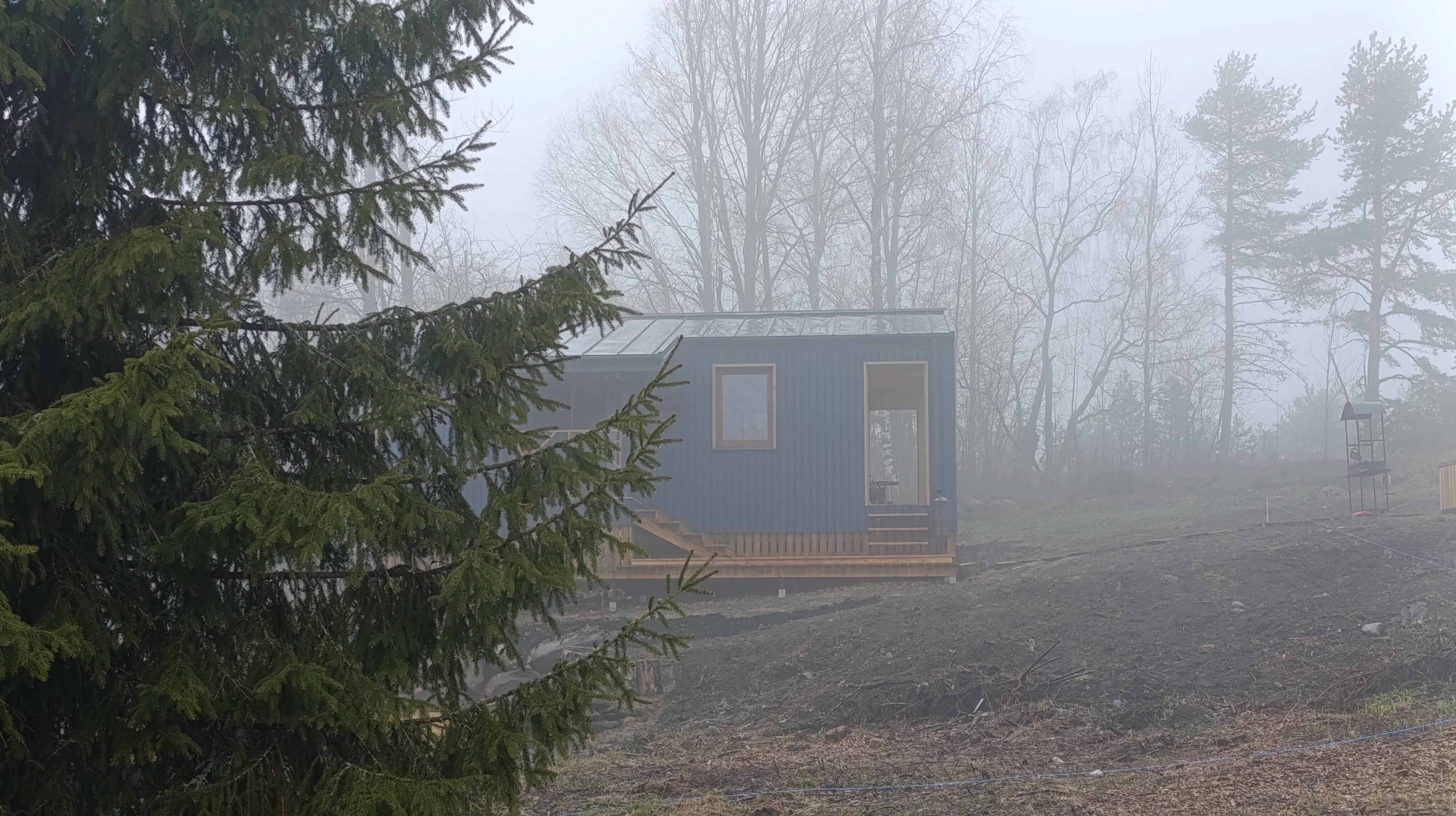 Дом с видом на лес