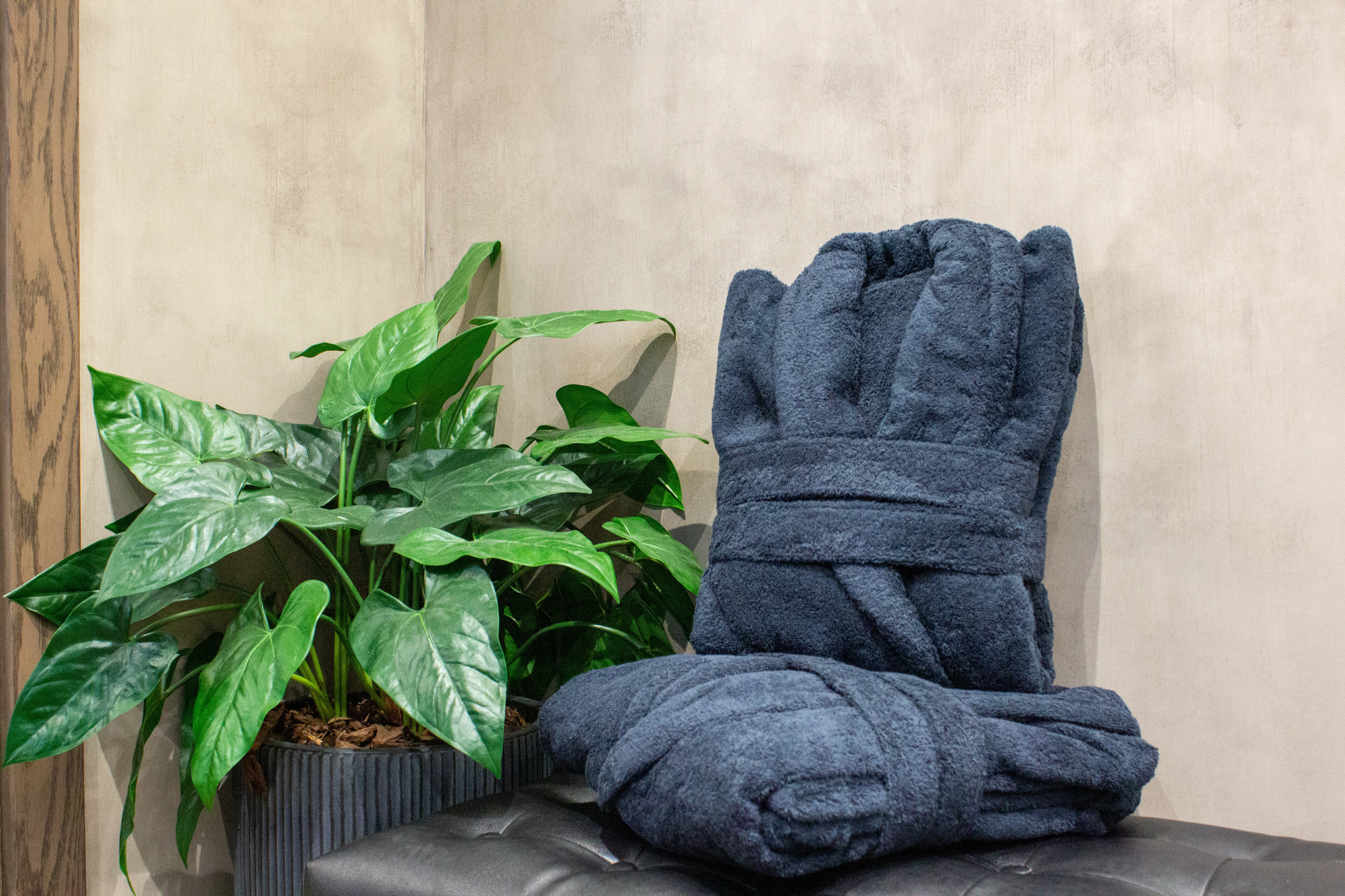 Люкс с сауной