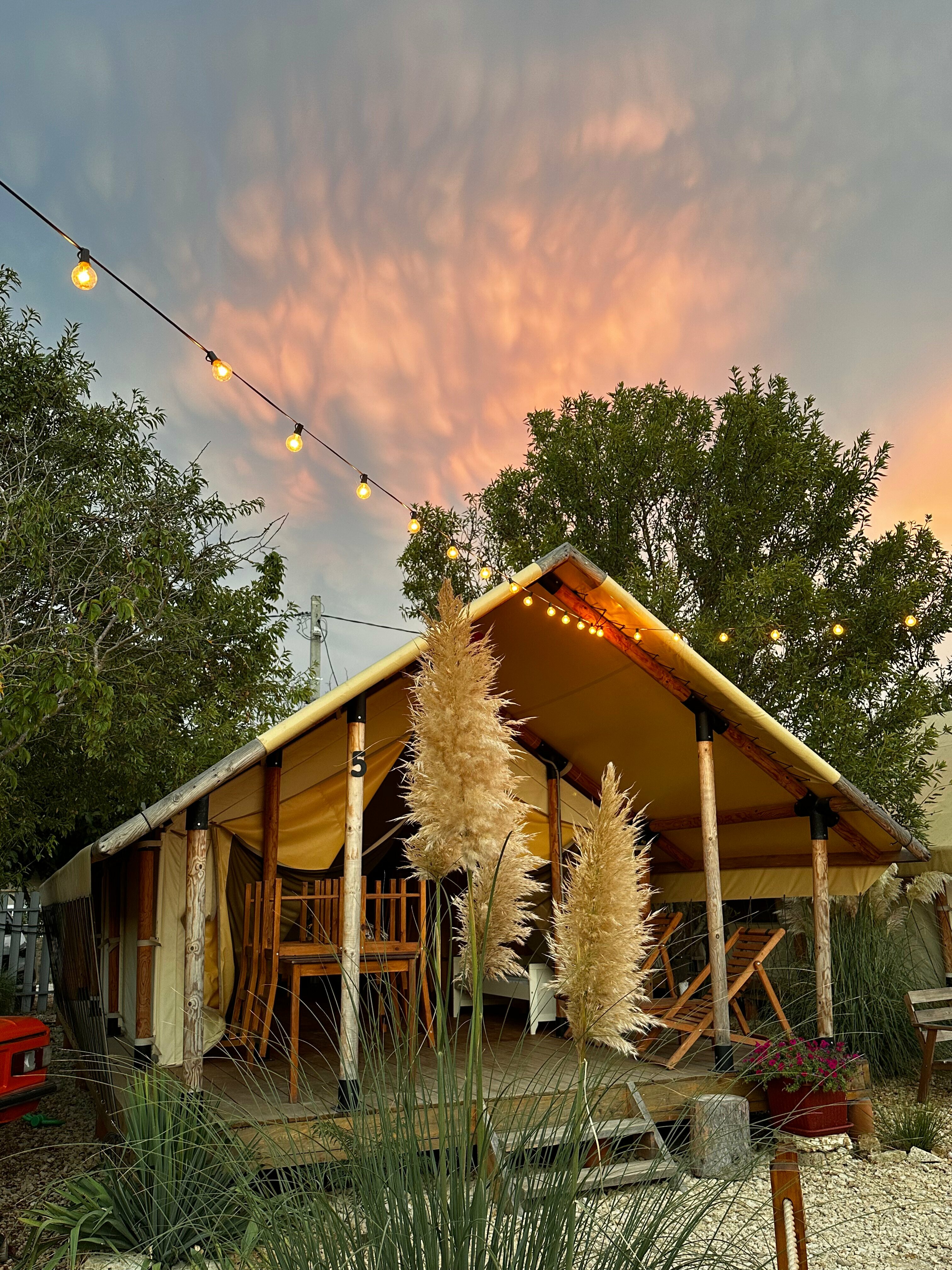 Сафари-тент