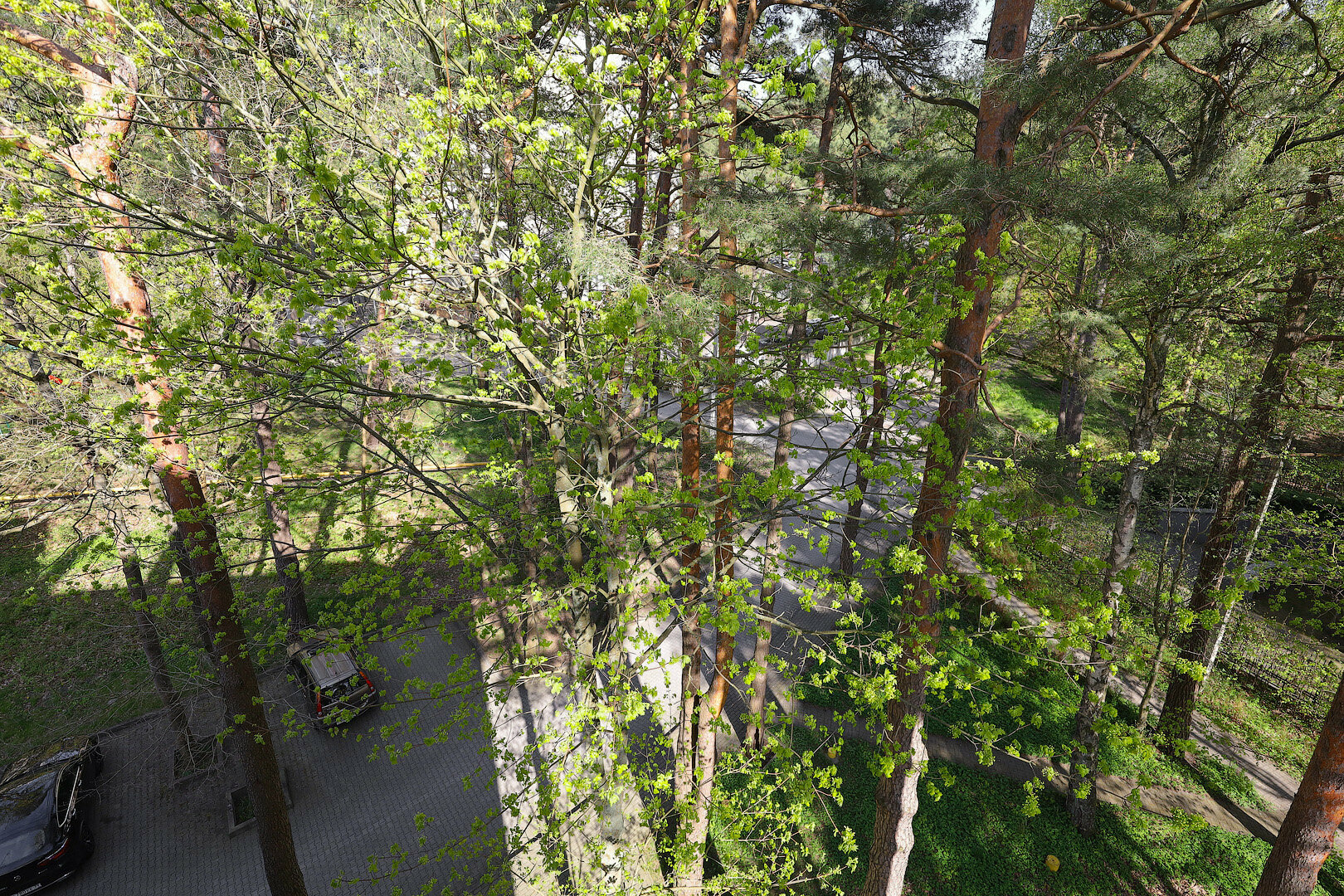 Двухуровневый четырехместный номер