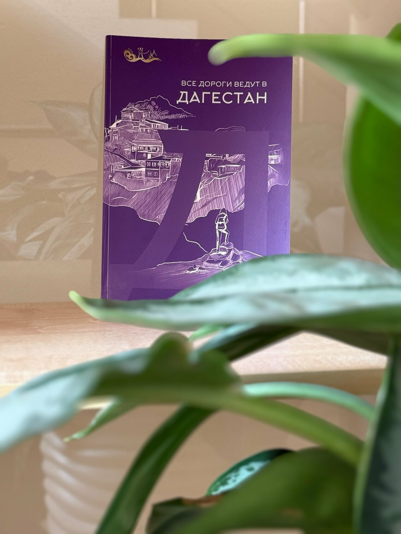 Большой двухместный номер с 1 кроватью