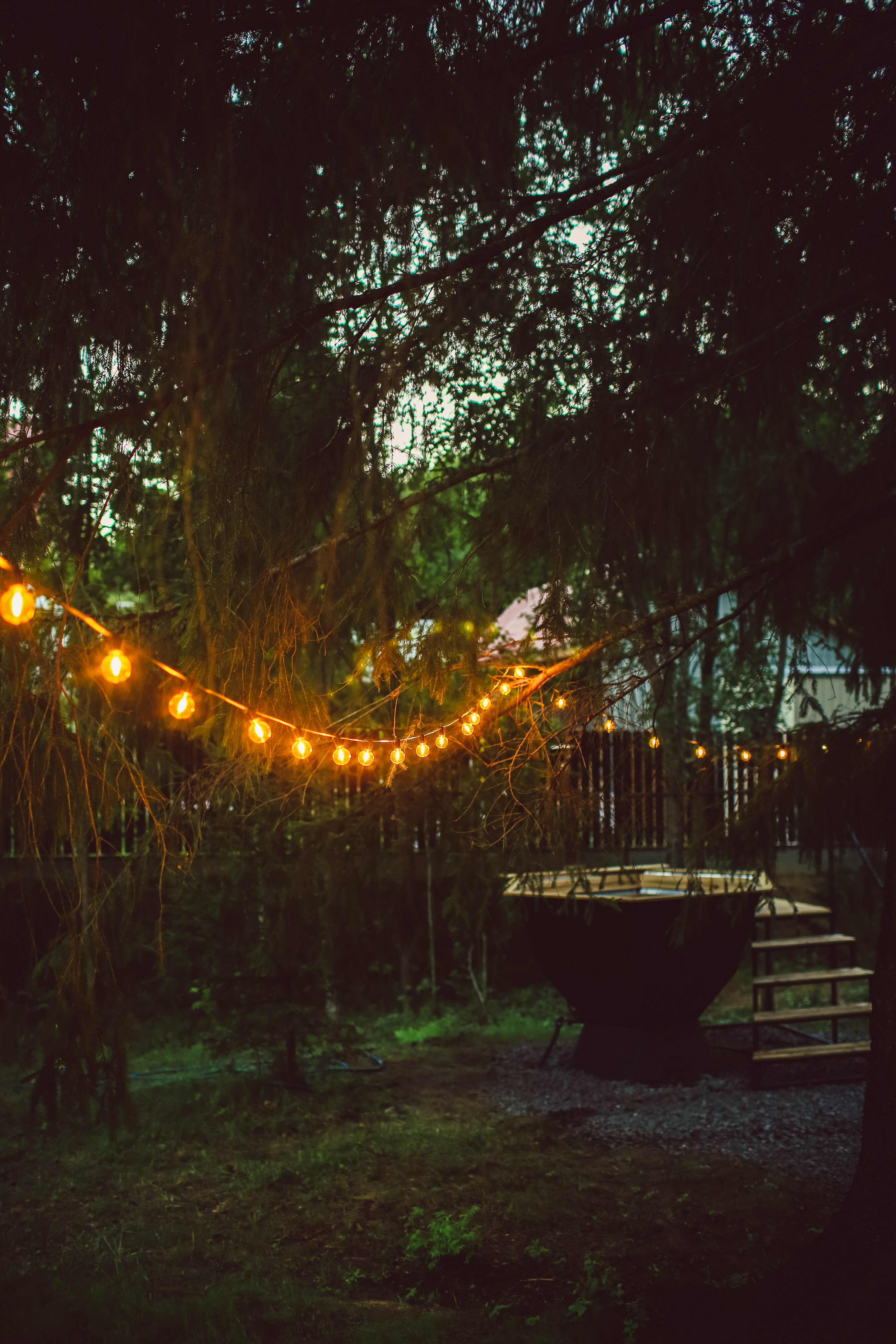 Дом с видом на лес